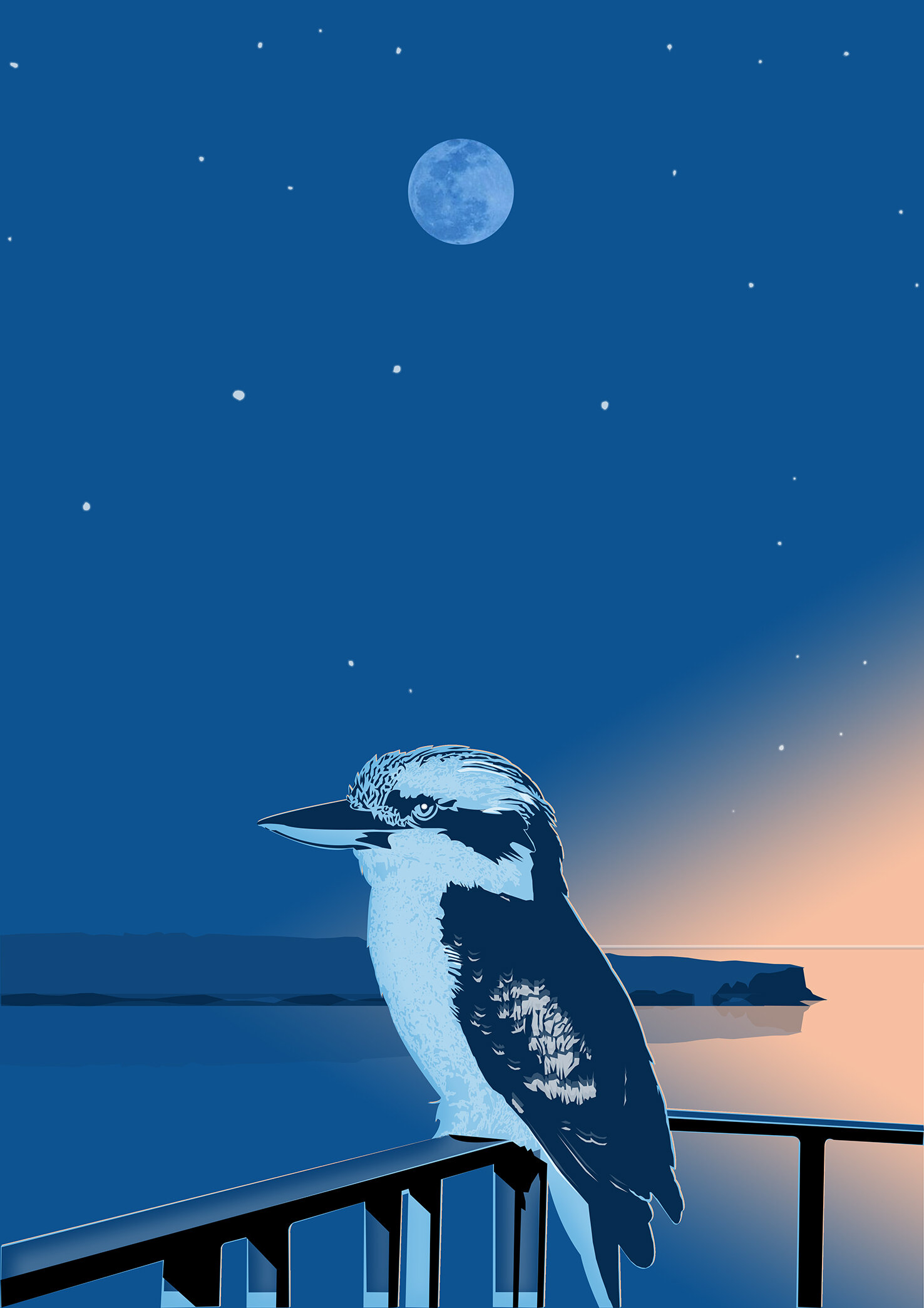 Kookaburra in the Moonlight