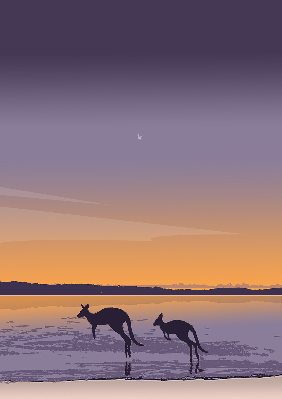 Kangaroos on Beach