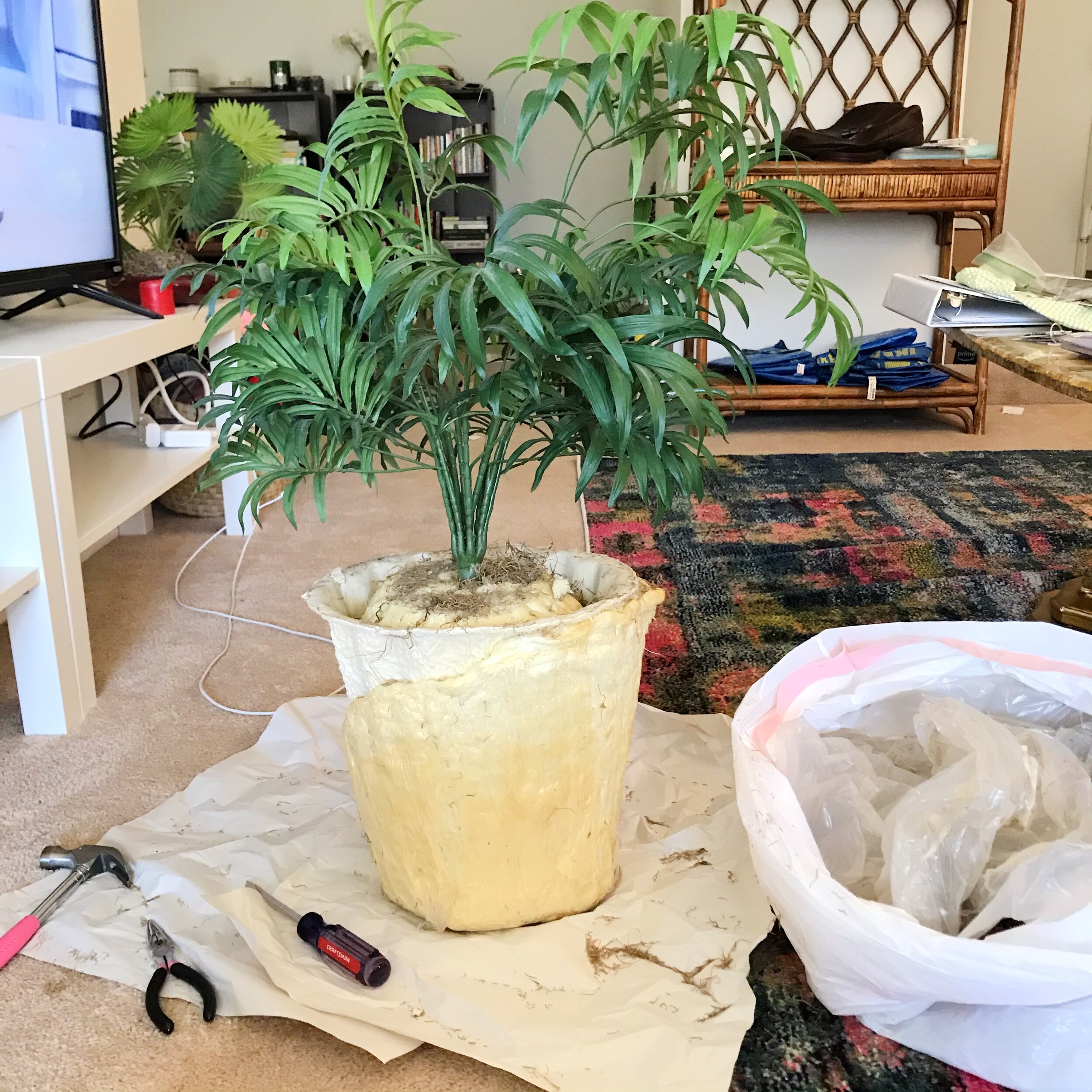thrift-flip-faux-plant-during.JPG
