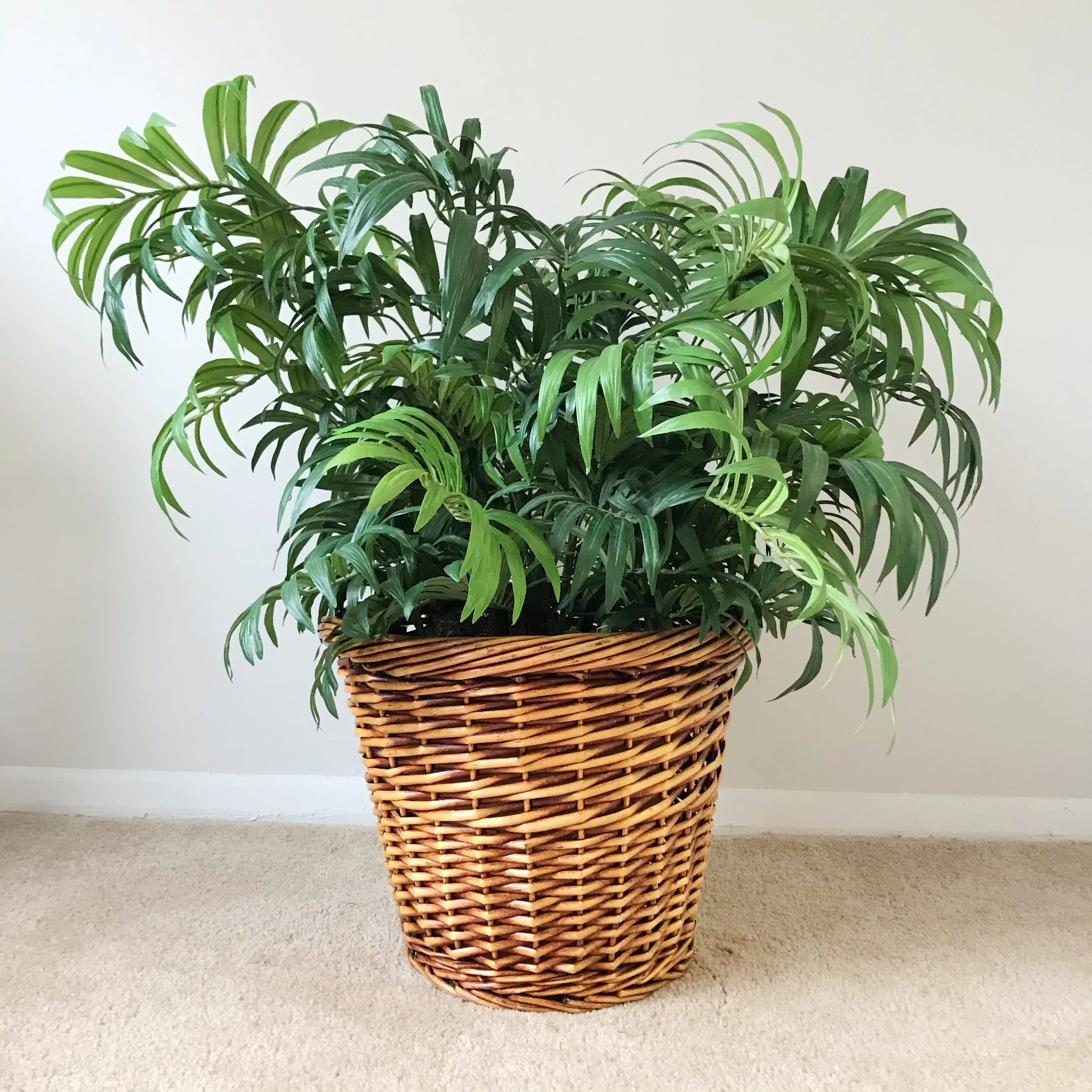 faux-plant-thrift-flip-final.JPG