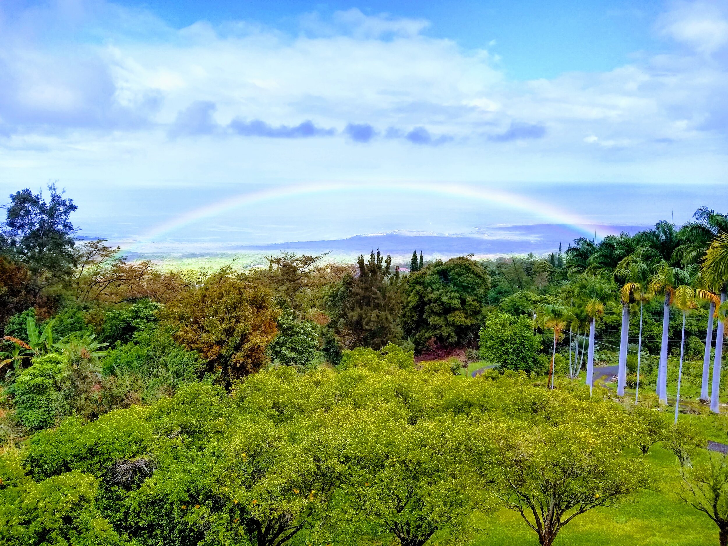 IMG_20190410_091441752_HDR-EFFECTS.jpg