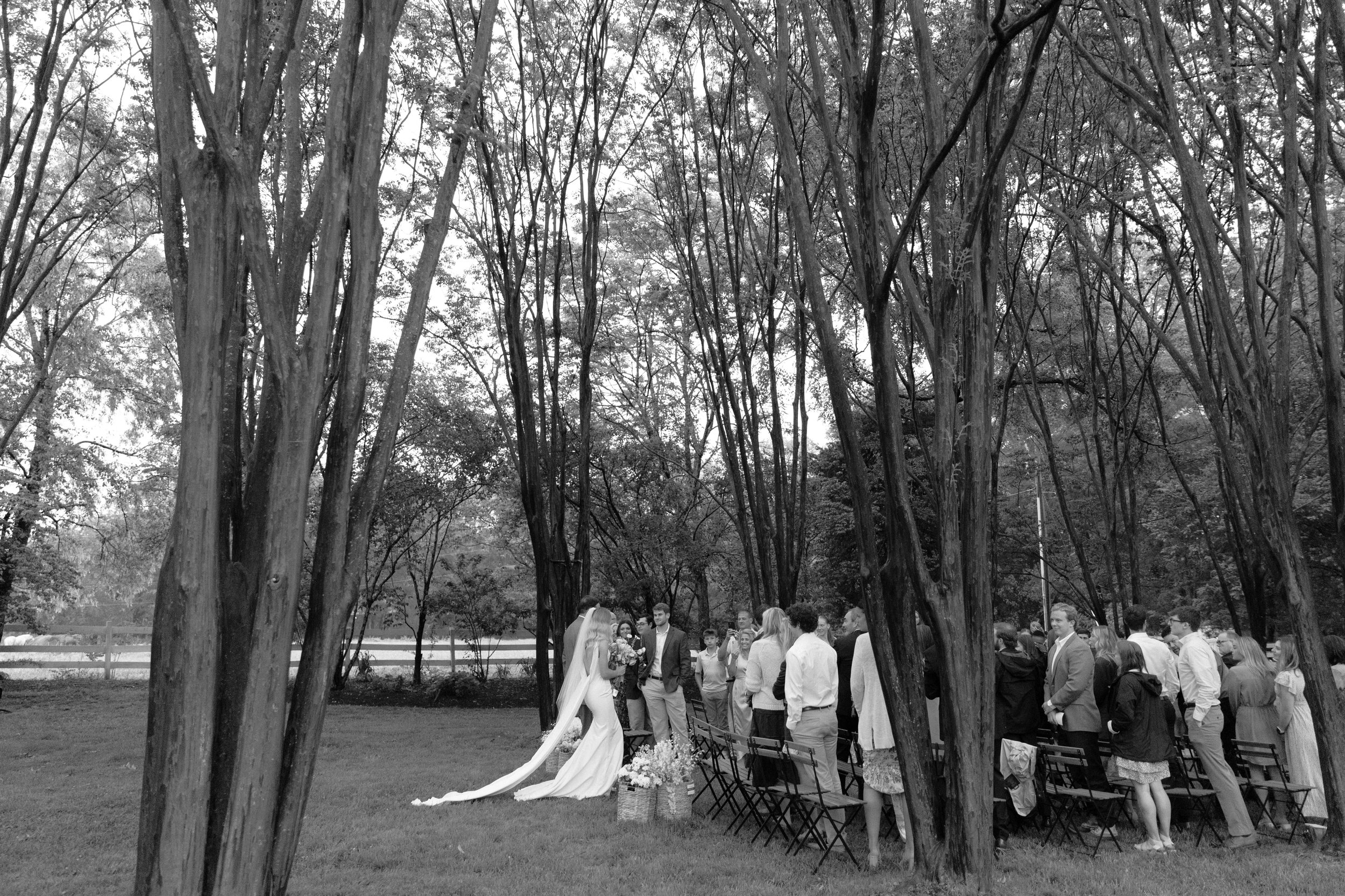 WhitneyNicolePhotosLLC_Historic_Tuckahoe_Wedding_VA20.jpg