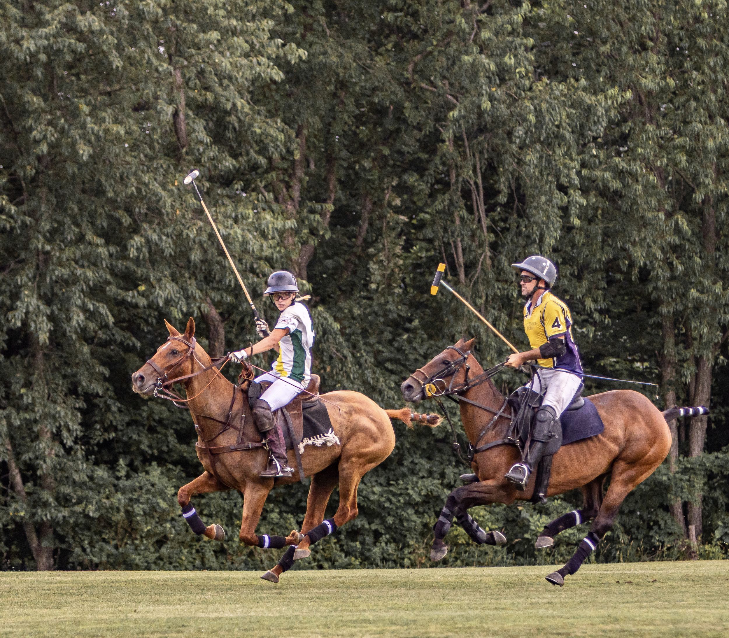 Screenshot 2026-02-06 at 12.50.31 PM.png