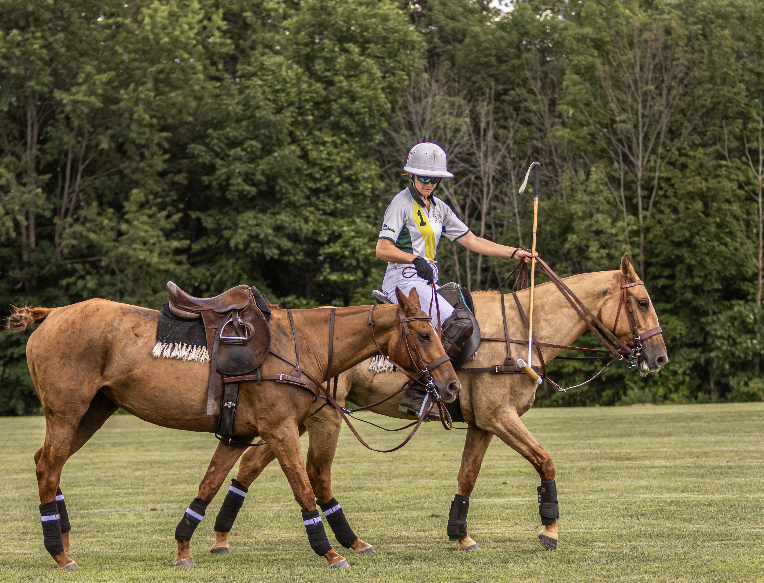 Screenshot 2026-02-06 at 12.50.54 PM.png