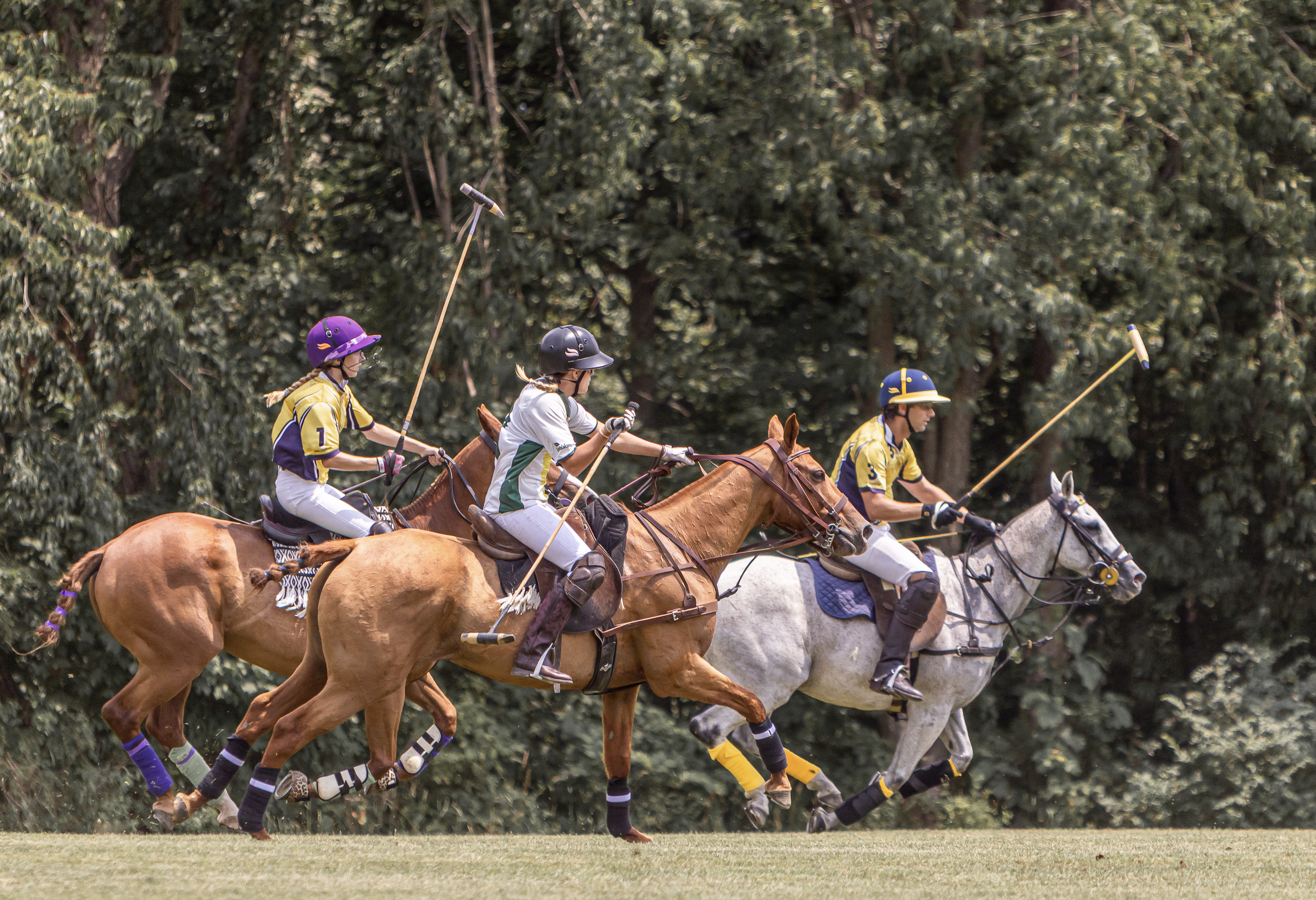 Screenshot 2026-02-06 at 12.51.15 PM.png