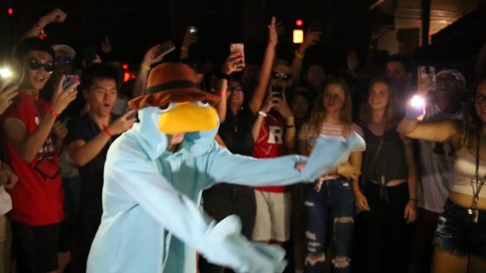 The Story Of Anthpo: From Perry The Platypus To College Graduation ...