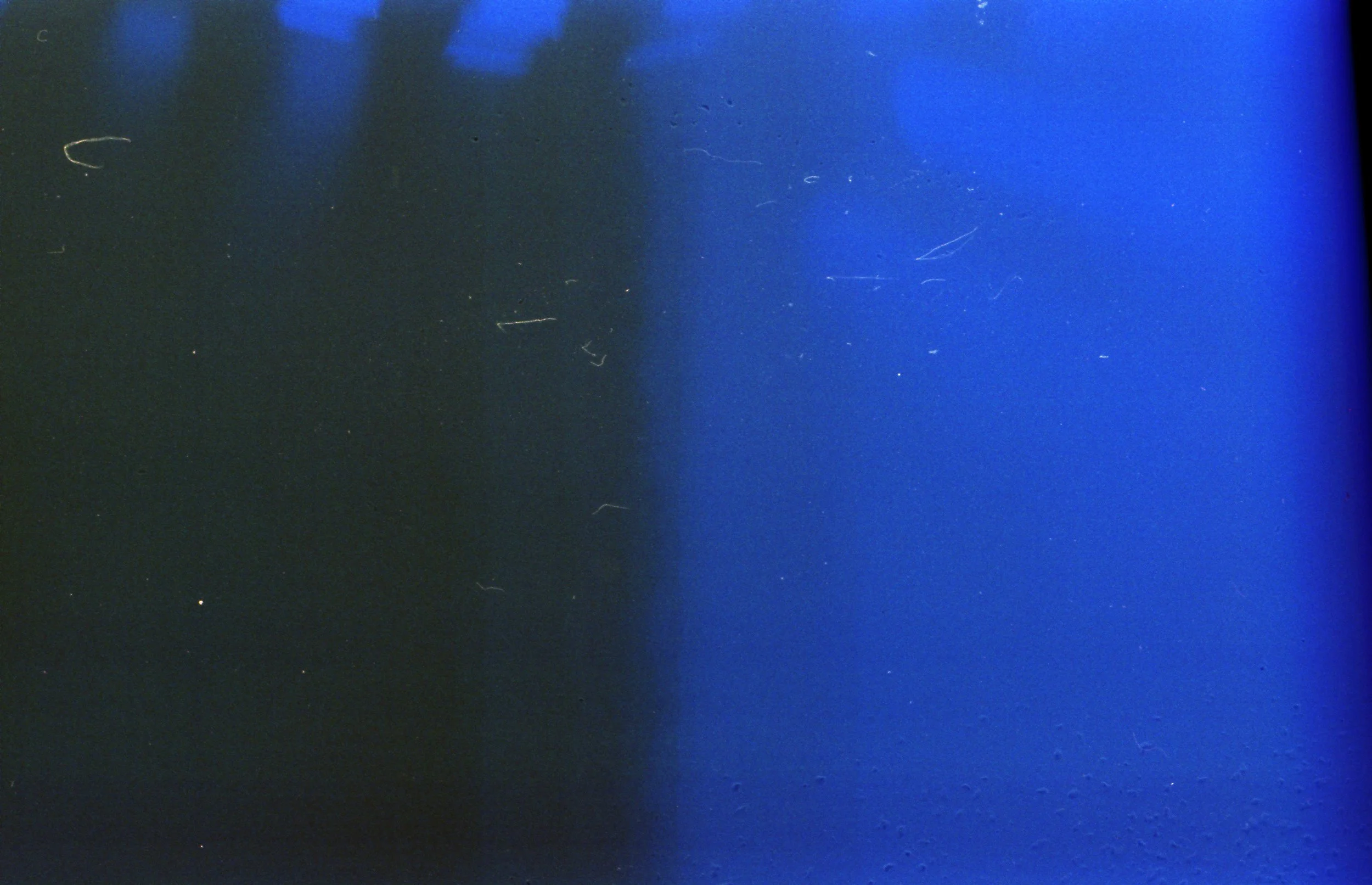 4280.jpg