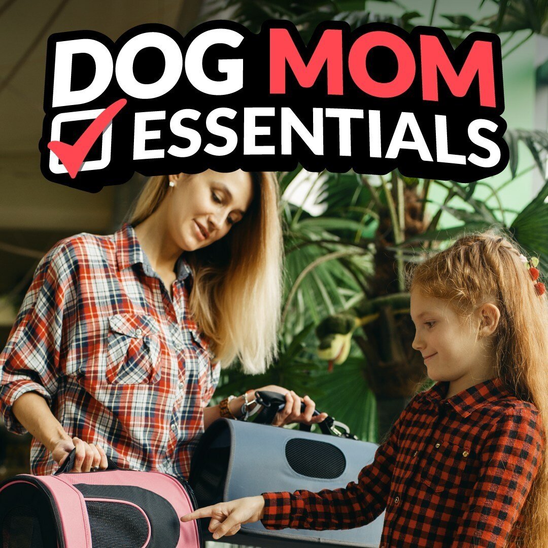Are you a dog mom who loves to explore the outdoors with your furry friend? Do you want to make sure you're prepared for anything when you're out and about? Then you need a dog go bag! See the list through our link in bio! ✅

#SunshineMills #PupCornP