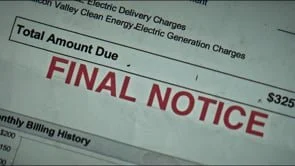 Rabbit Rabbit Trailer