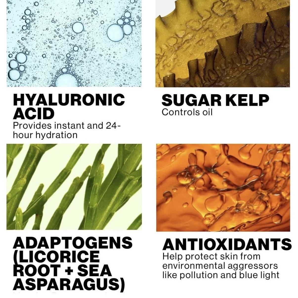 ADAPTIVE INGREDIENT INNOVATION 