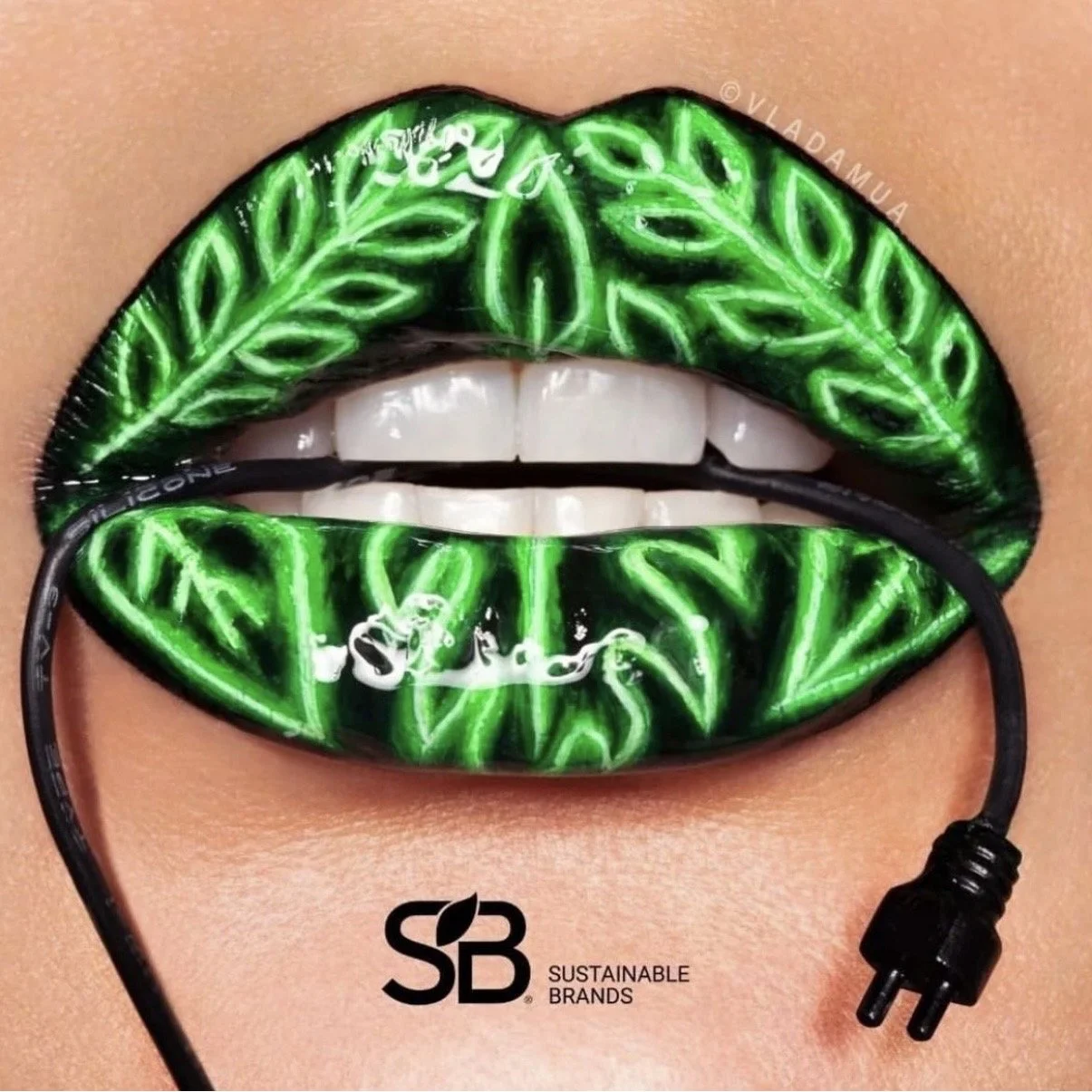 SUSTAINABLE BRANDS BRAND LED CULTURE CHANGE EVENT - LIP ART BY VLADA HAGGERTY