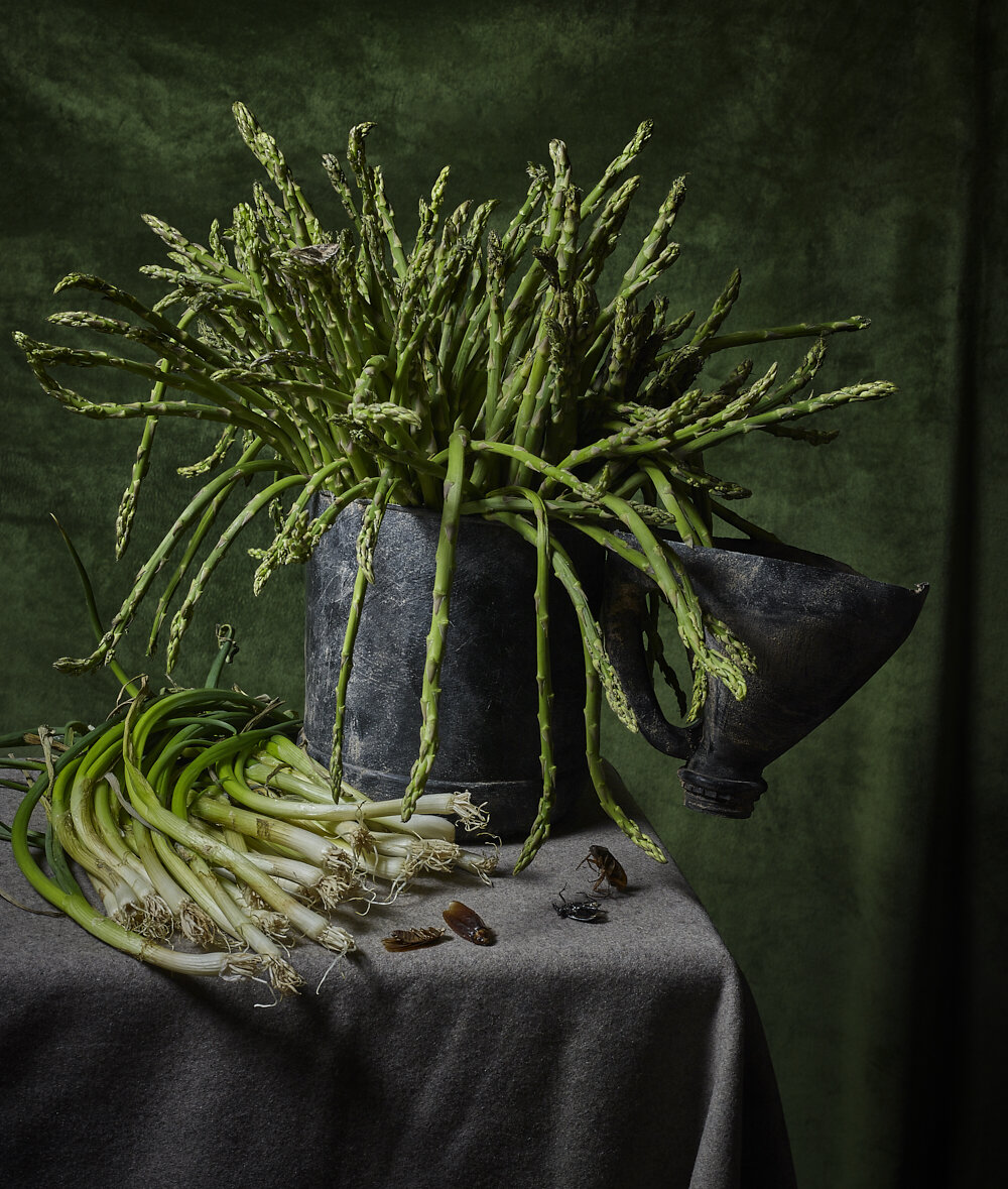 Migrant Jug with Asparagus and Green Onions