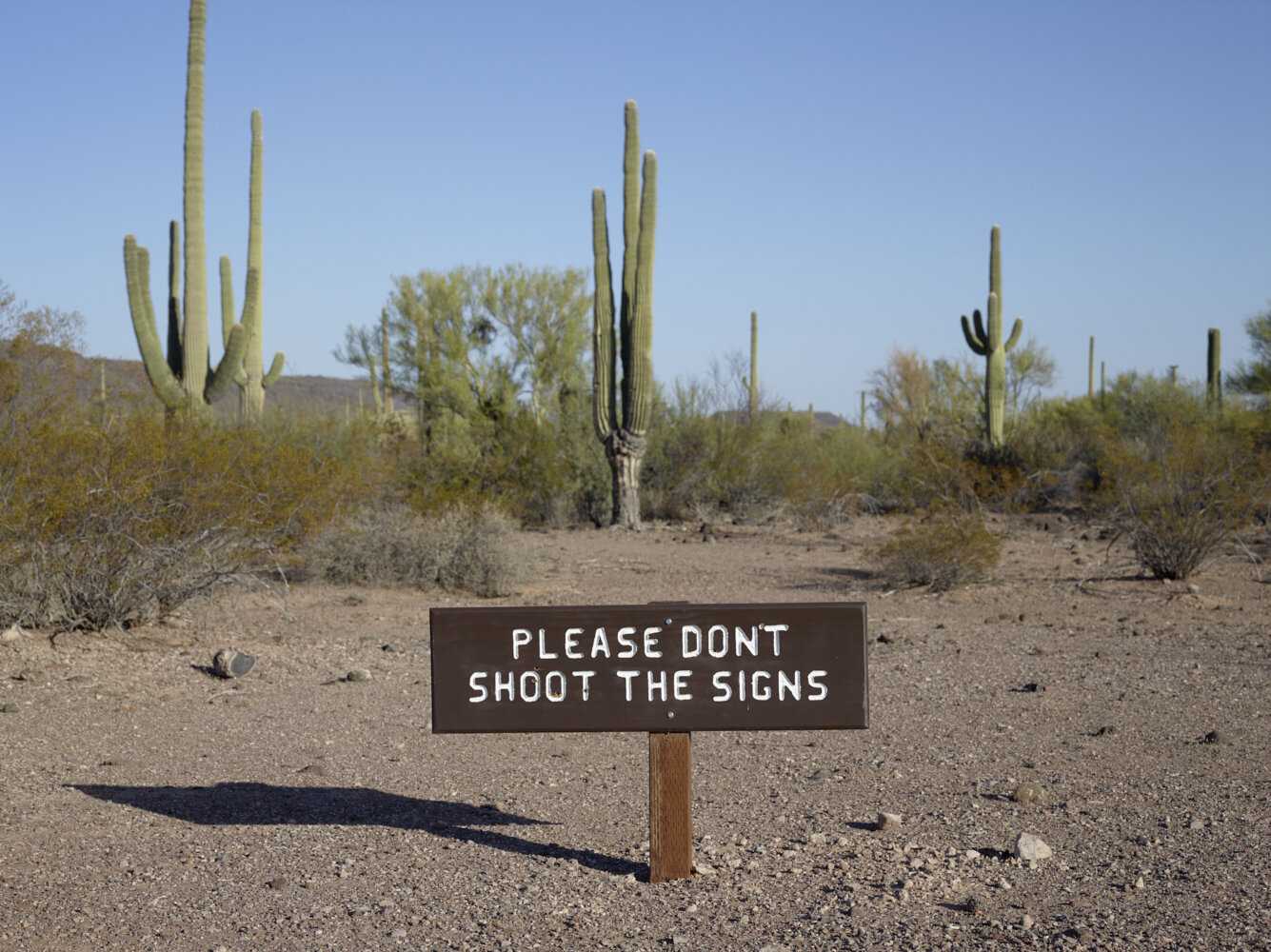  This initial plan was to leave the signs up for a year then deinstall. However, this all changed when I returned to the area to rephotograph. I was surprised to find that some of the signpost had been completely removed. But not all of them. The mor