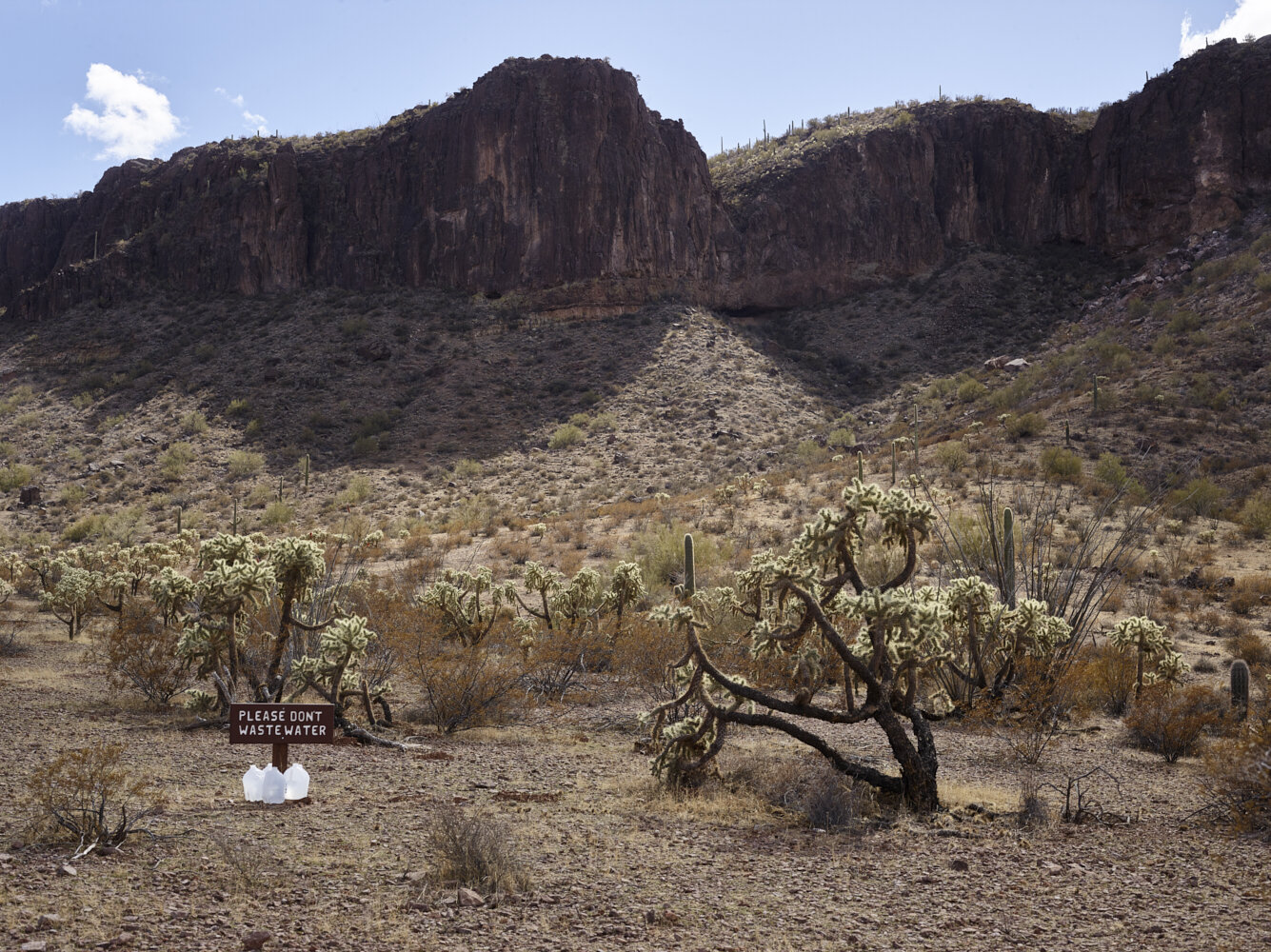 Dont Waste Water_Cholla Field 1.jpg