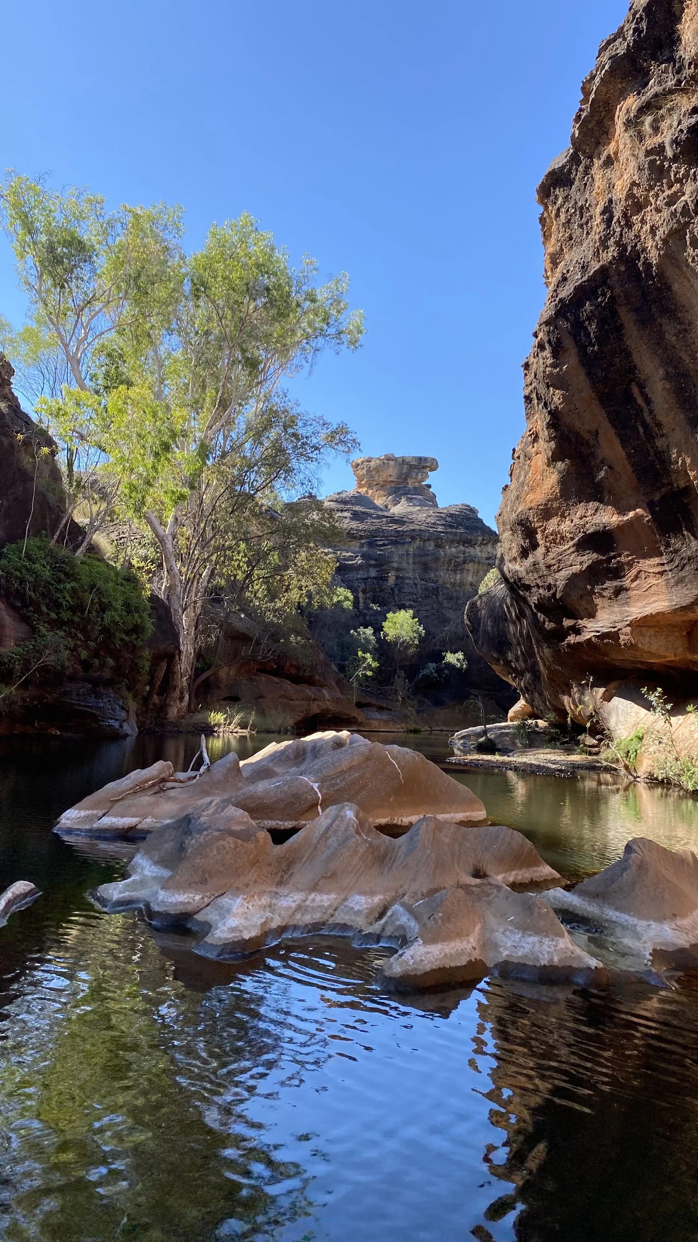 Sunrise and brekkie with a view! On the road with Phoebe MacDonald