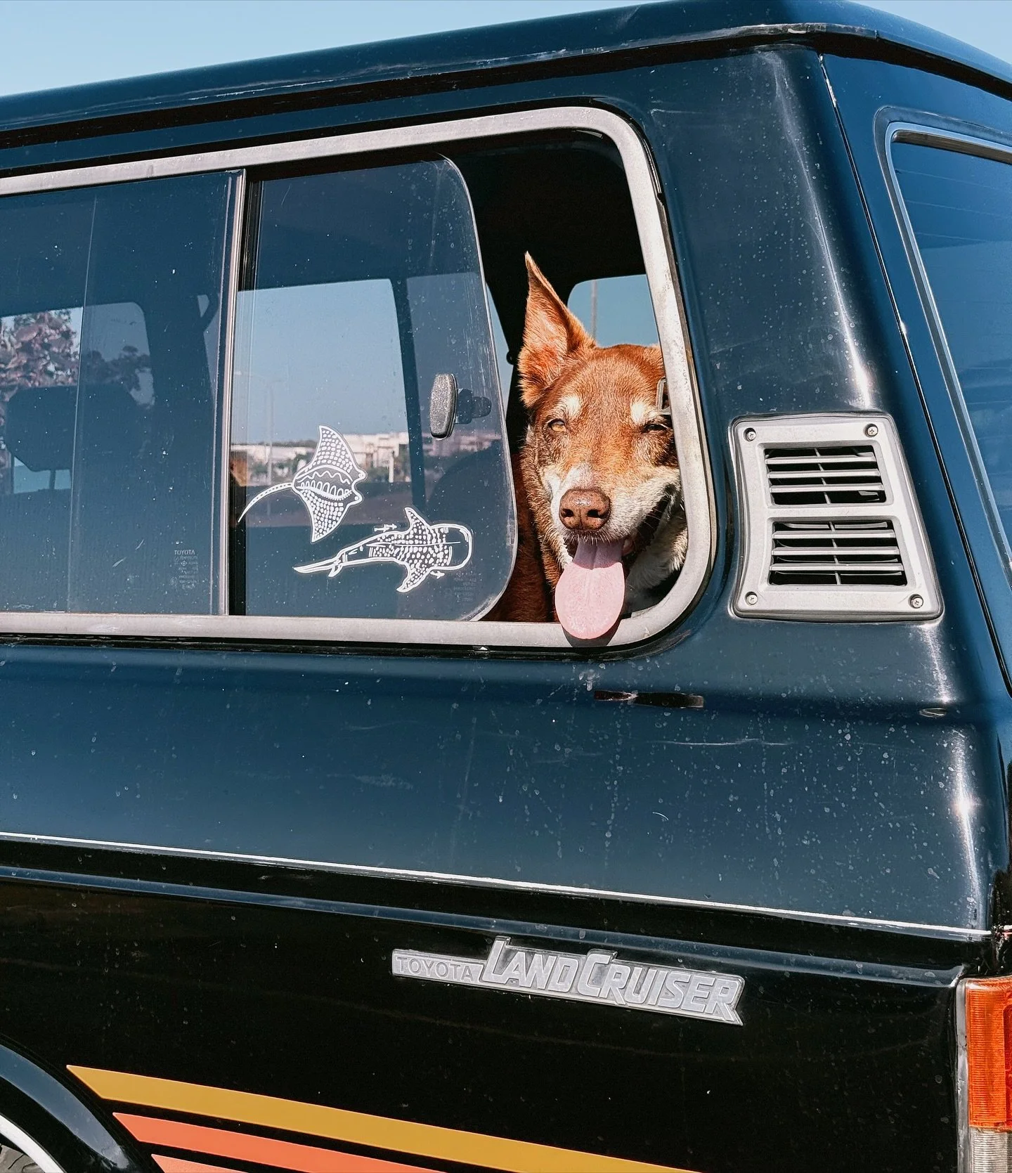 Jakey happy with his stickers ✨ 
Photos by the lovely @sophiebrown__ 
#sophiefletcherdesigns #mantaray #whaleshark #landcrusier