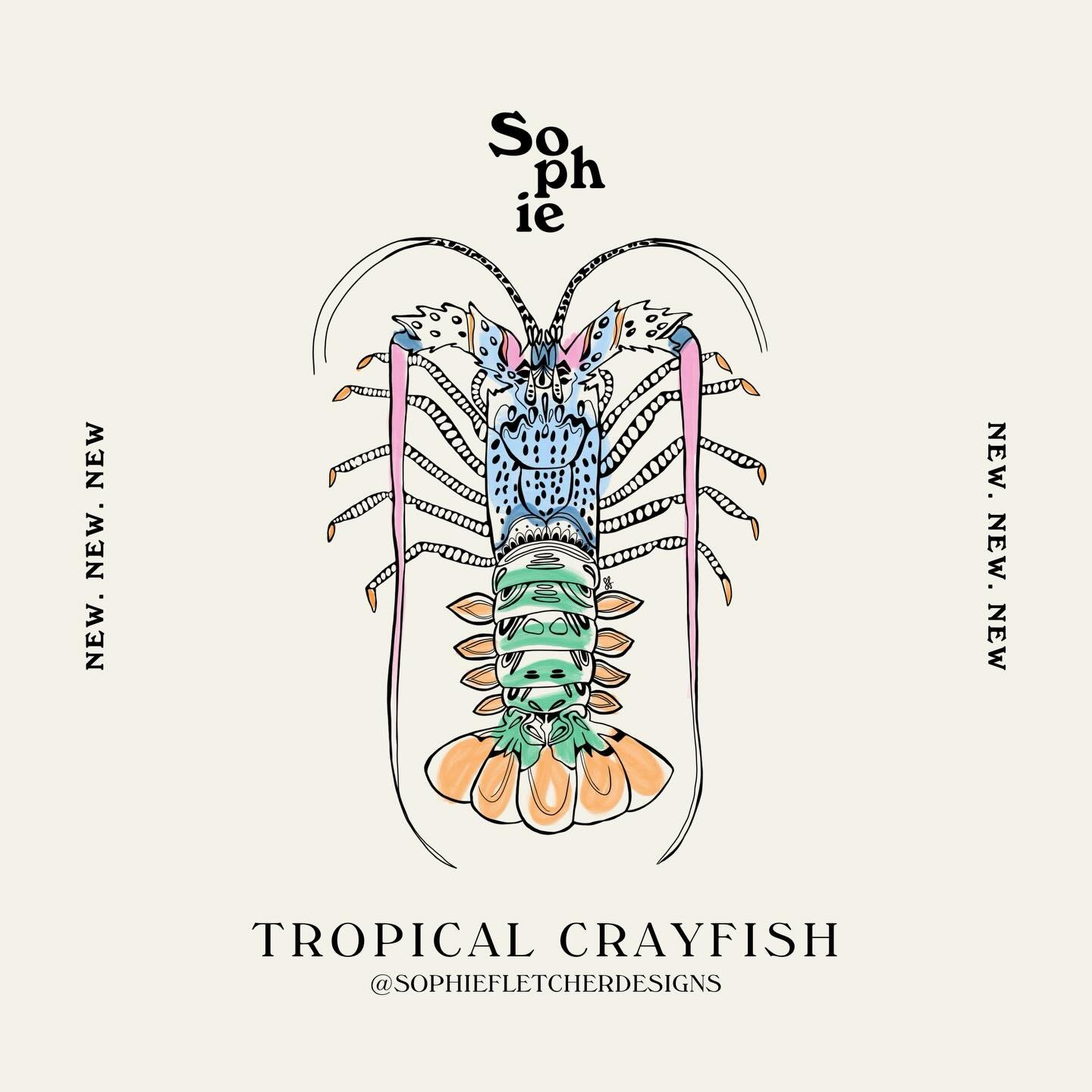 OUT NOW 🦞 Available in three colours: the tropical painted cray, the southern cray, and a white-on-clear option for darker surfaces. 
#sophiefletcherdesigns #crayfish