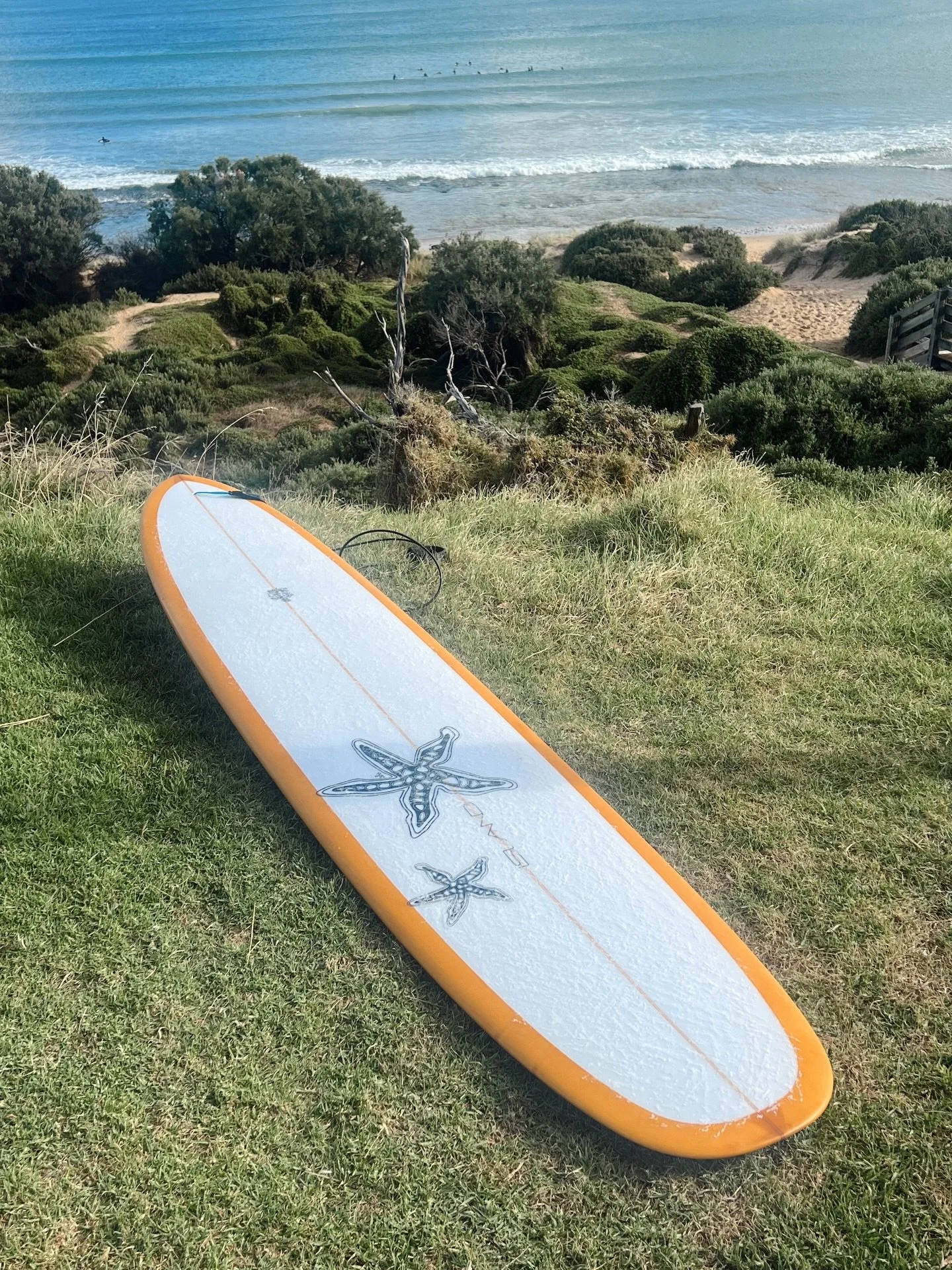 Sea Star will be back in stock verrryyy soon! Thanks for another sell out sticker friends 🫶🏼 Pop your name on the waitlist online to be the first to know when its back ✨