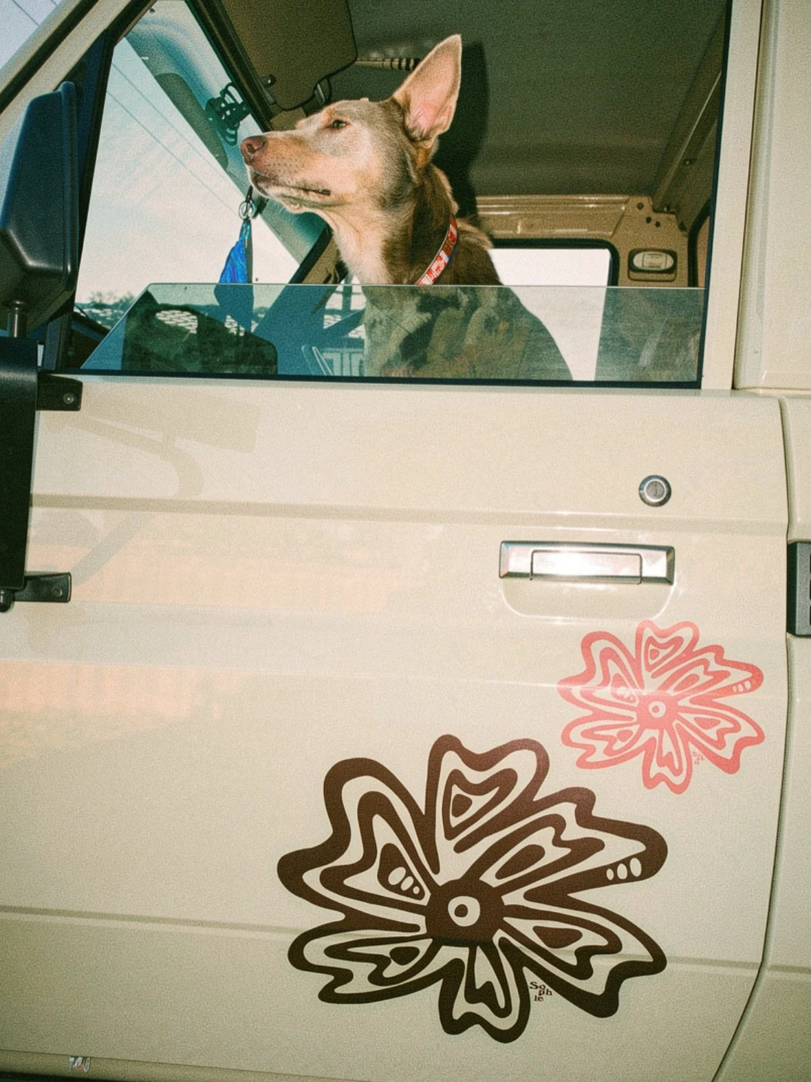 I never planned this&hellip; but I wouldn&rsquo;t change it for anything.
Maybe it was always a quiet dream&hellip; or just some subconscious pull I followed.
But the day-to-day? It&rsquo;s fun. And I really want to keep it that way.
Then there are t