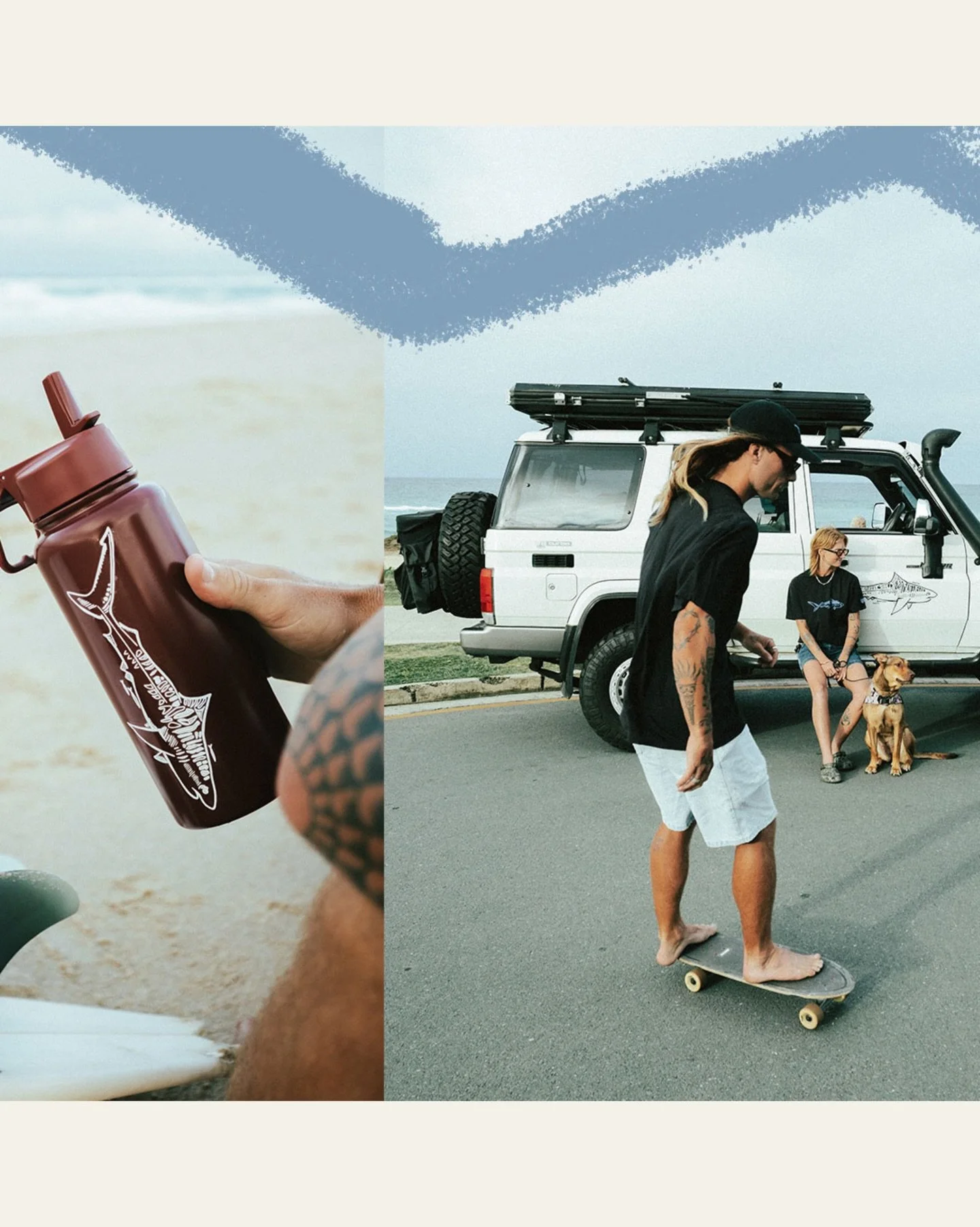 DROPPING TOMORROW MORNING &bull; Tiger Shark &bull; Wednesday 6th May &bull; 9am AEST