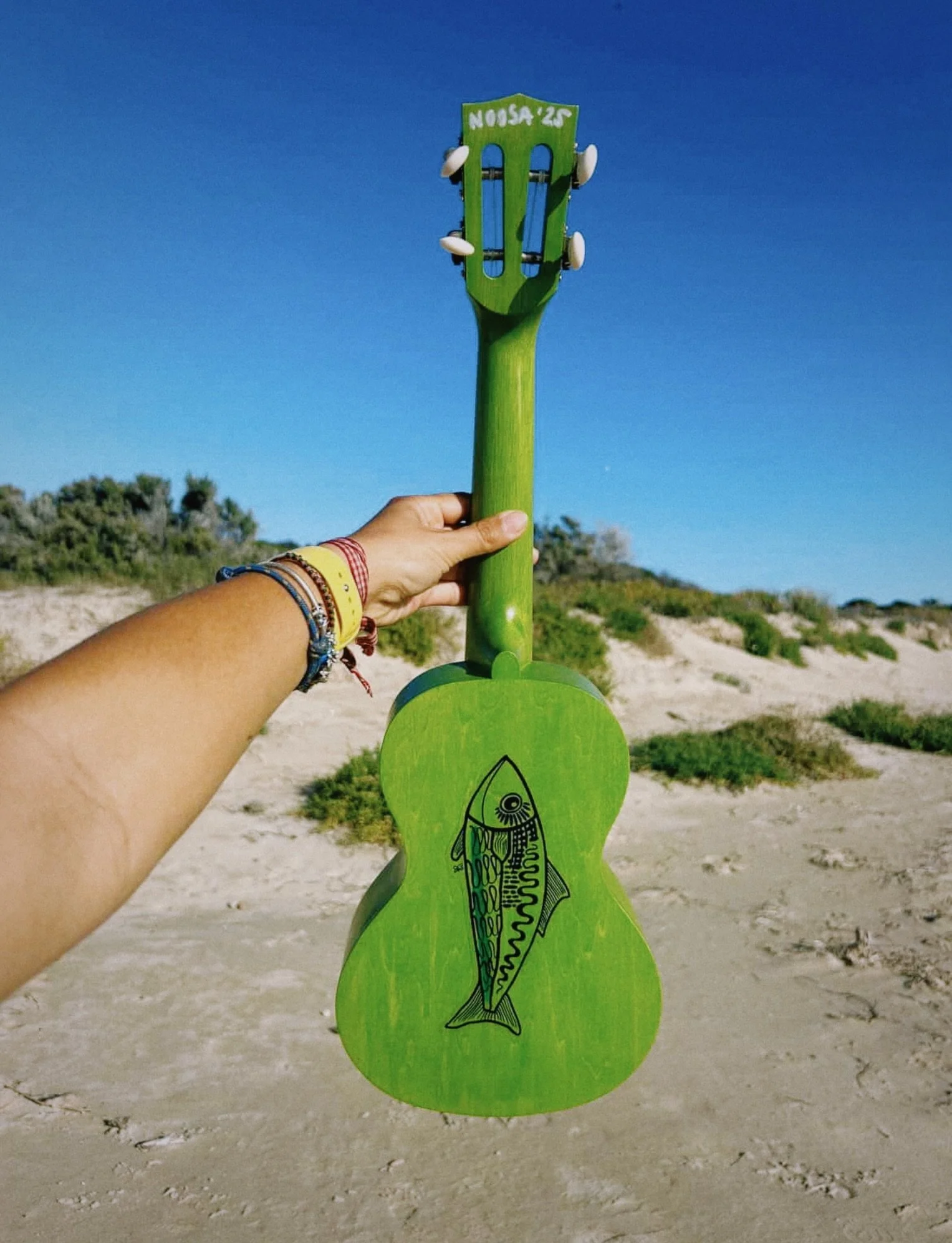 Memories everywhere! Funky Fish with @pauliwiliwi ukelele 💚💚