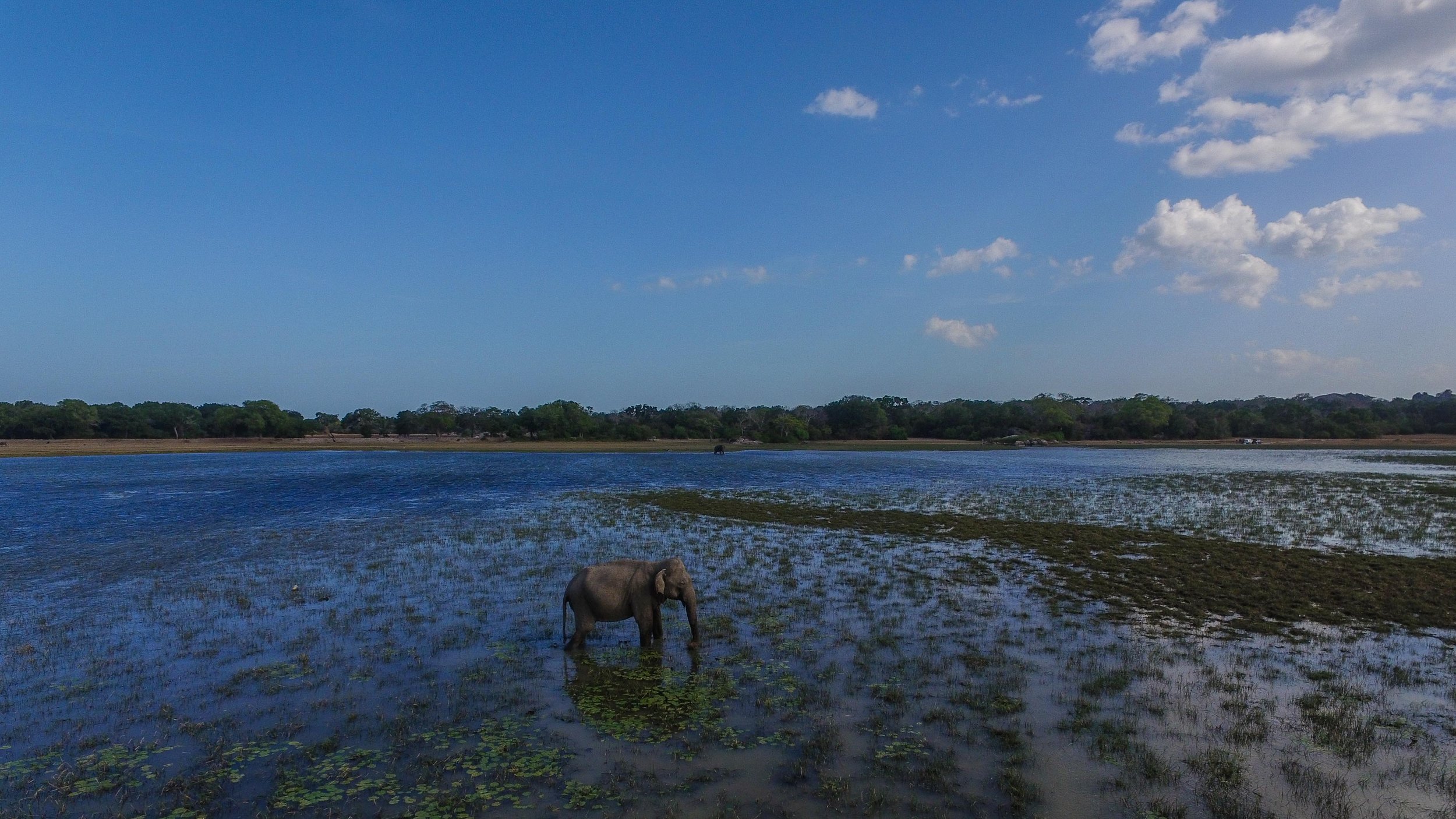 DJI_0029.jpg
