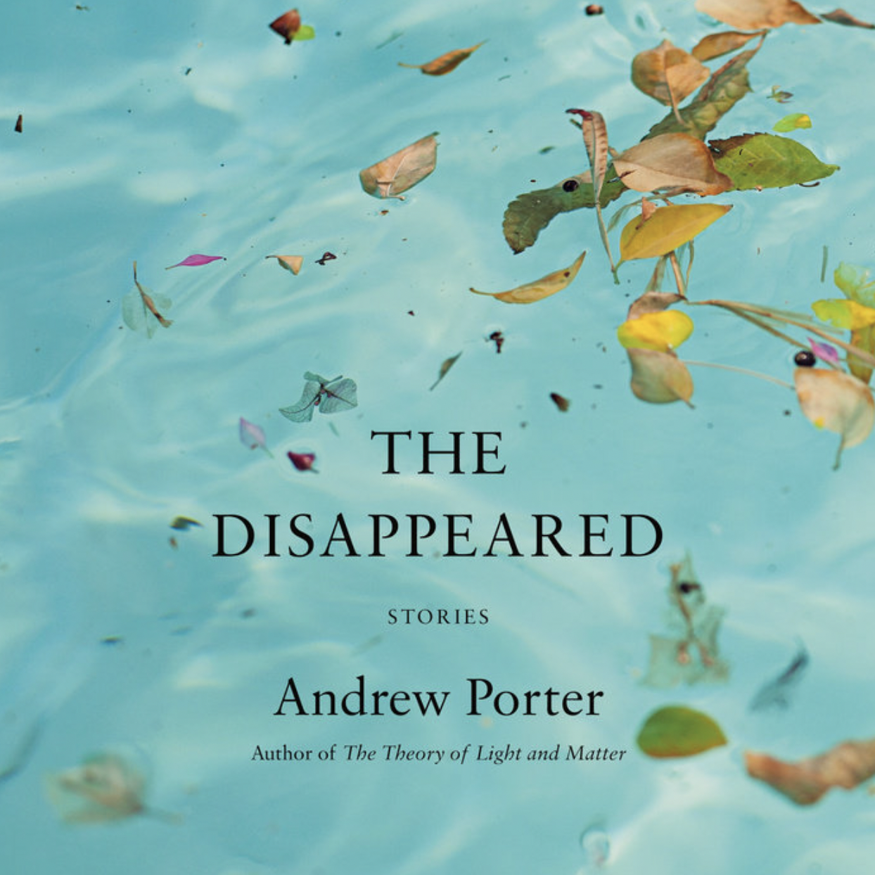 Andrew-Porter-The-Disappeared-Audiobook-directed-by-Rene-Veron.png