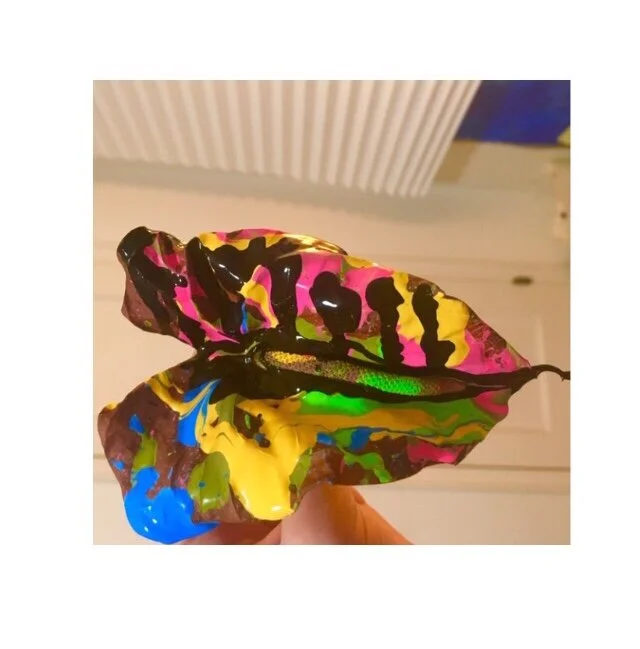61FFB171-078E-458F-BF00-9091F8C34B30.jpeg