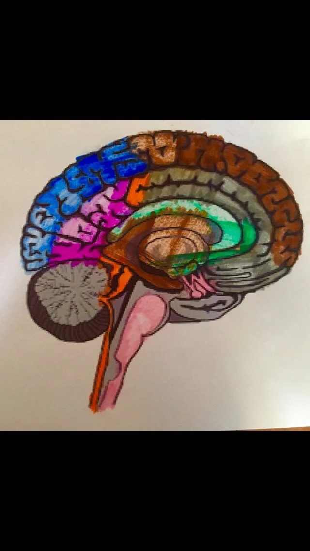 Brain Art by student