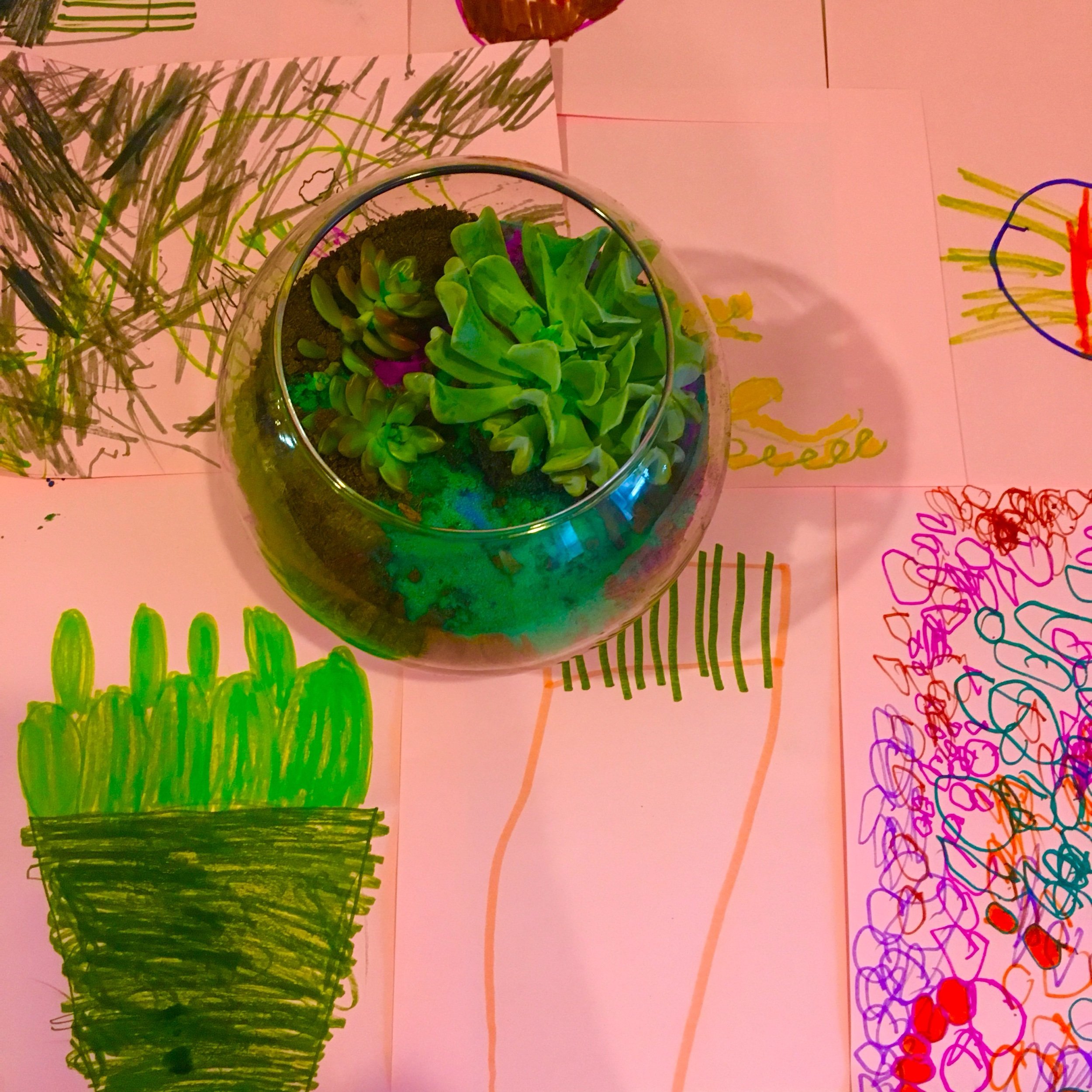 Terrarium making and observational drawings done by students