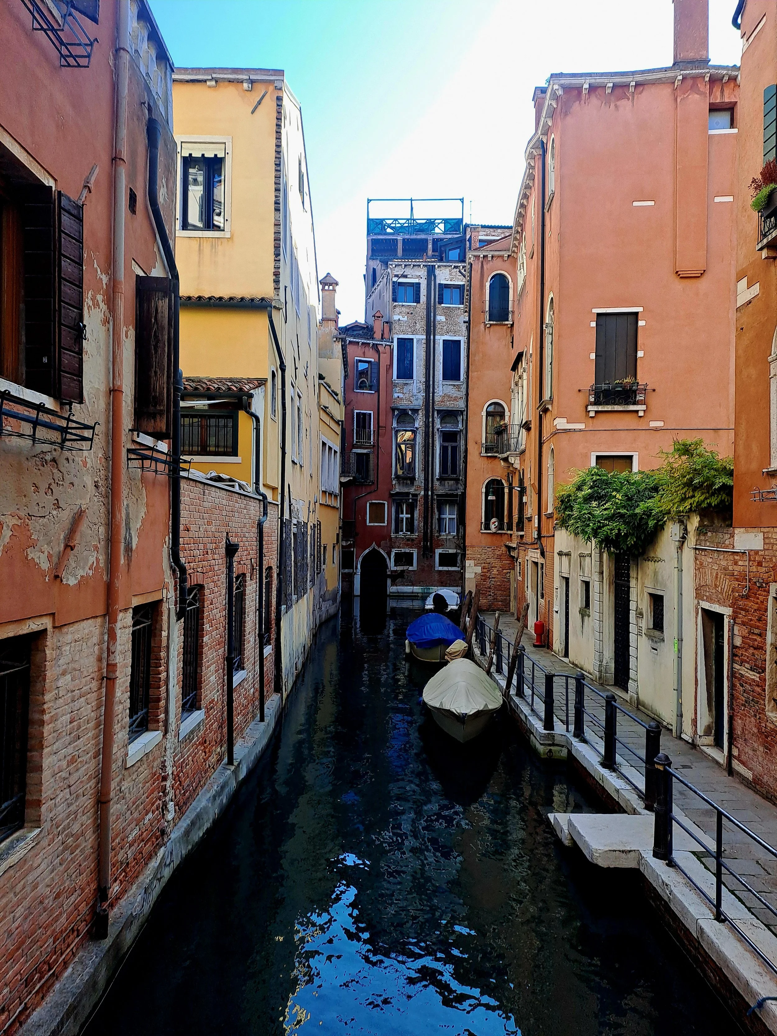 VENICE VIEWS 2025 22.jpg