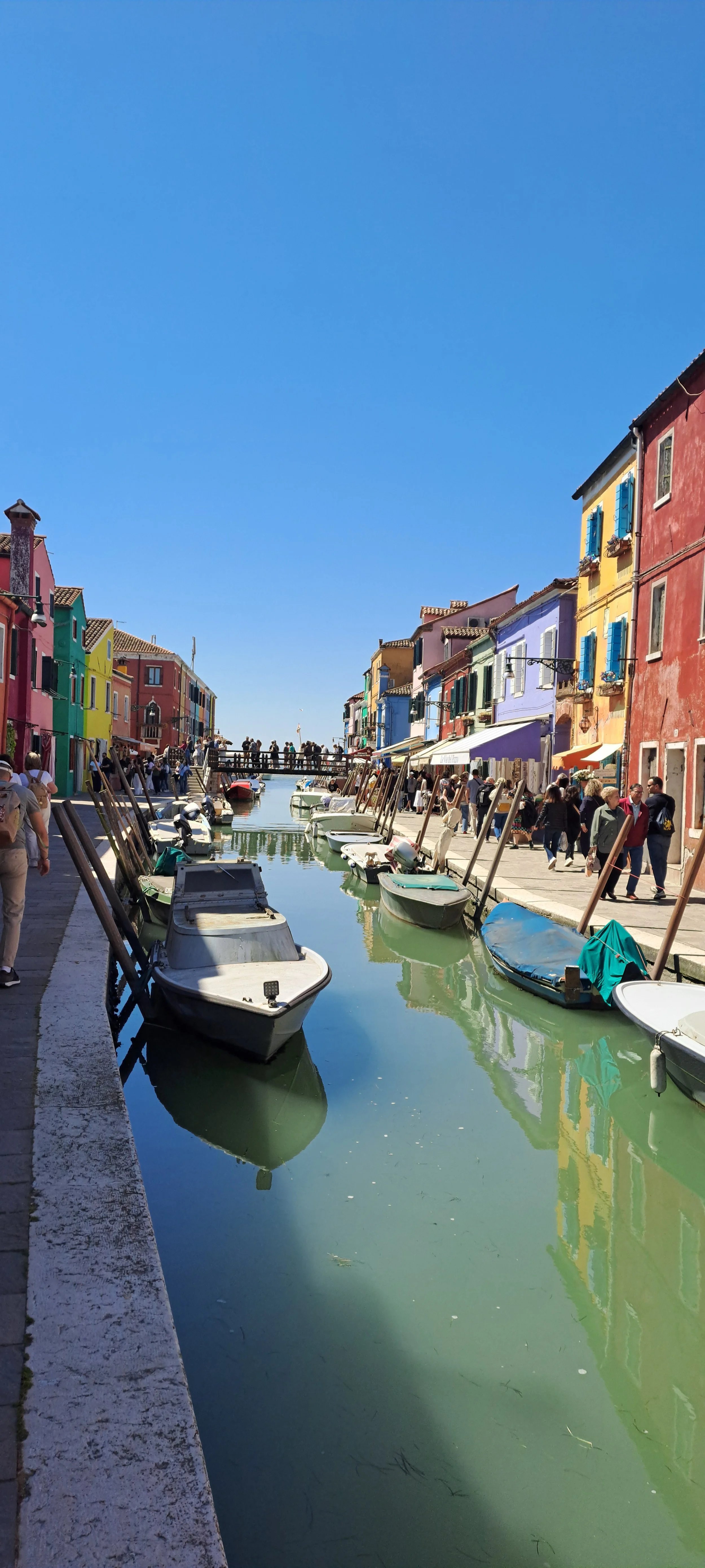 VENICE 2026 21.jpg