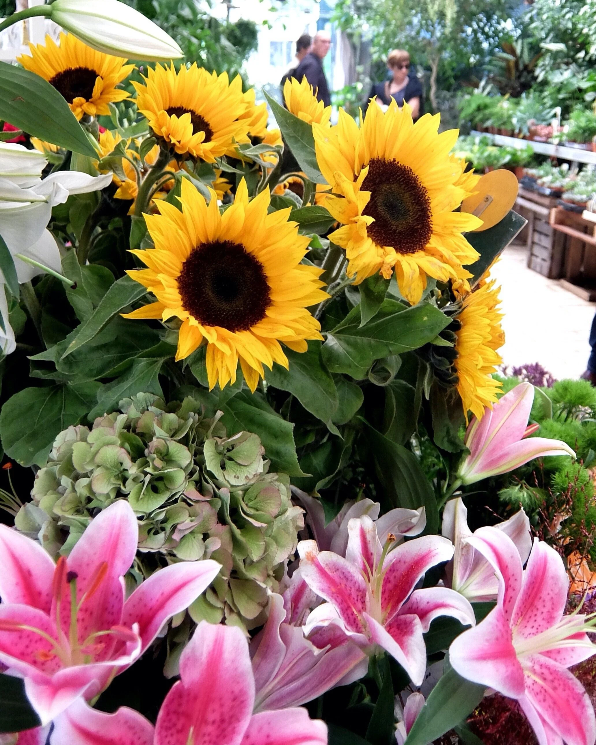 Bouquet of yellow sunflowers, pink lilies, and green hydrangeas in a flower shop with people in the background.
