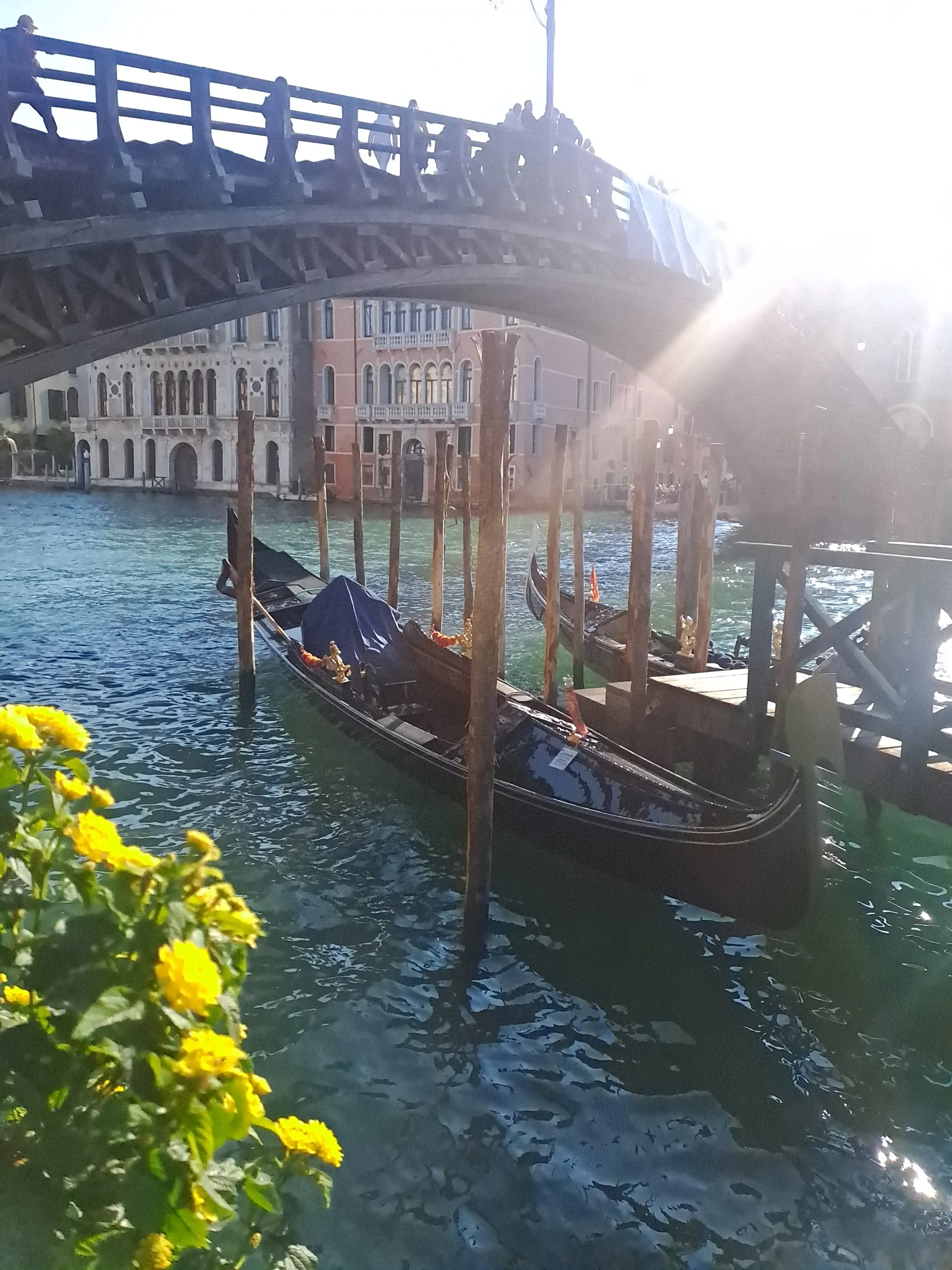VENICE VIEWS 2025 25.jpg