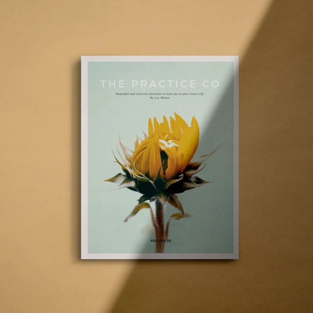 The Practice Co Book – Volume 3