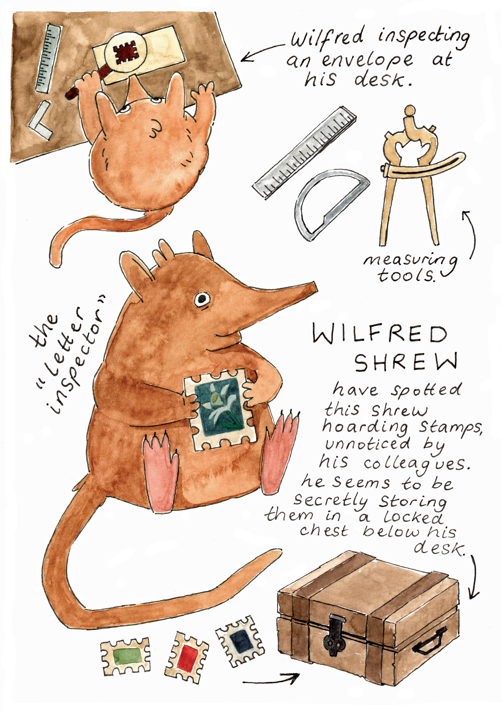 Field Notes IV