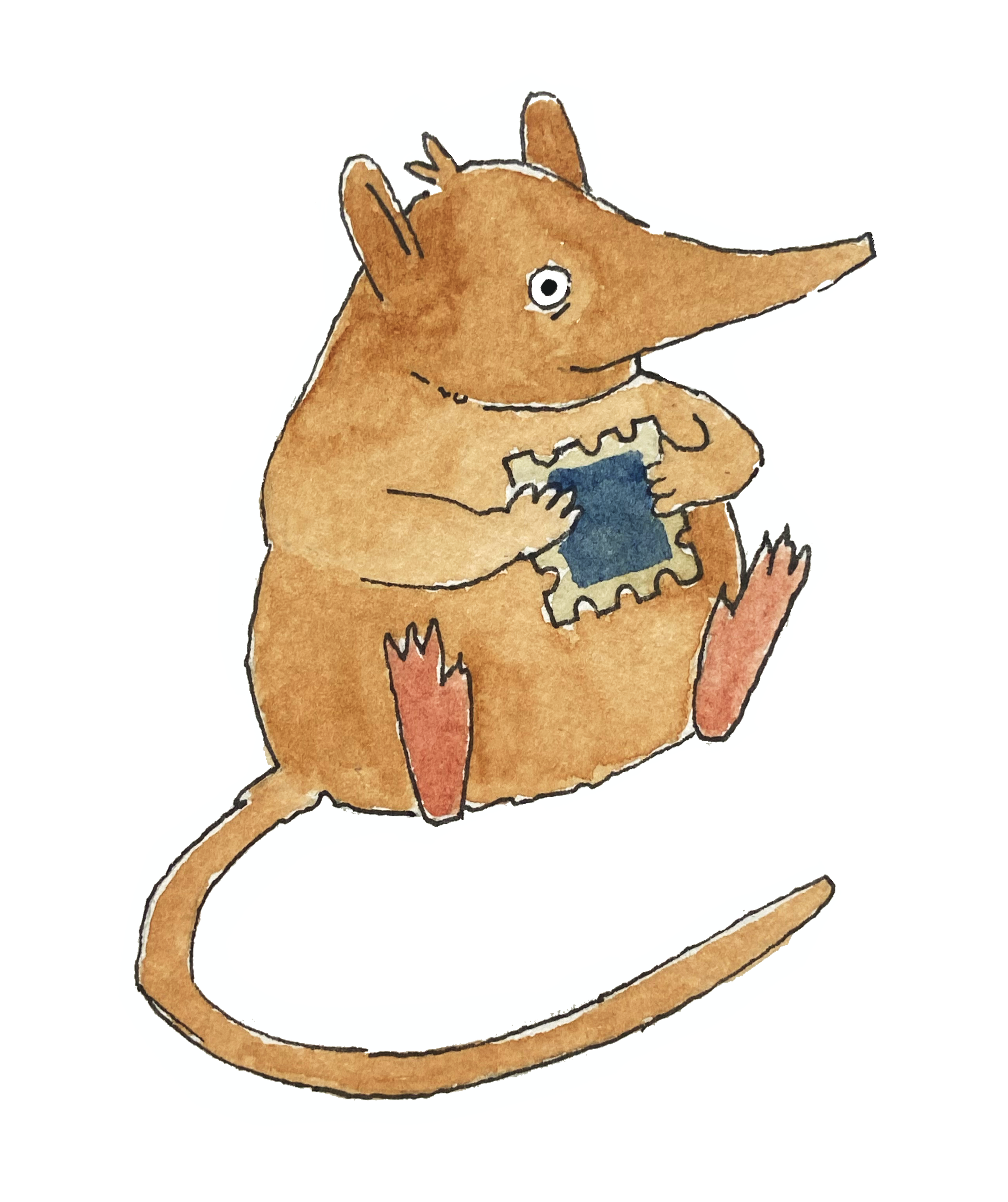 A cartoon illustration of a brown shrew with large ears, holding a blue stamp.