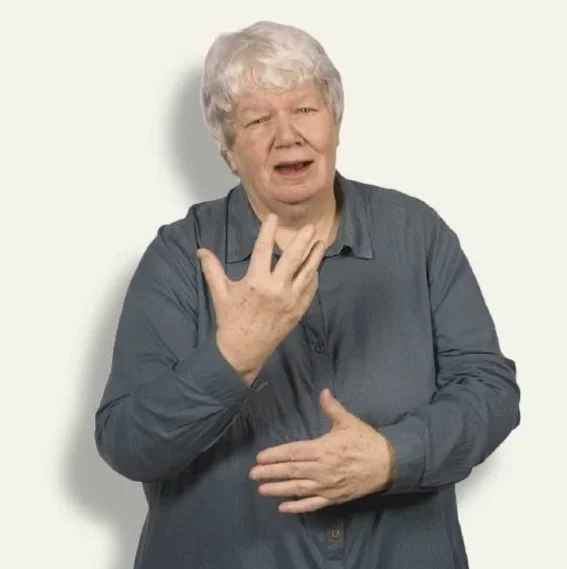 BSL Translator 9-50.jpg