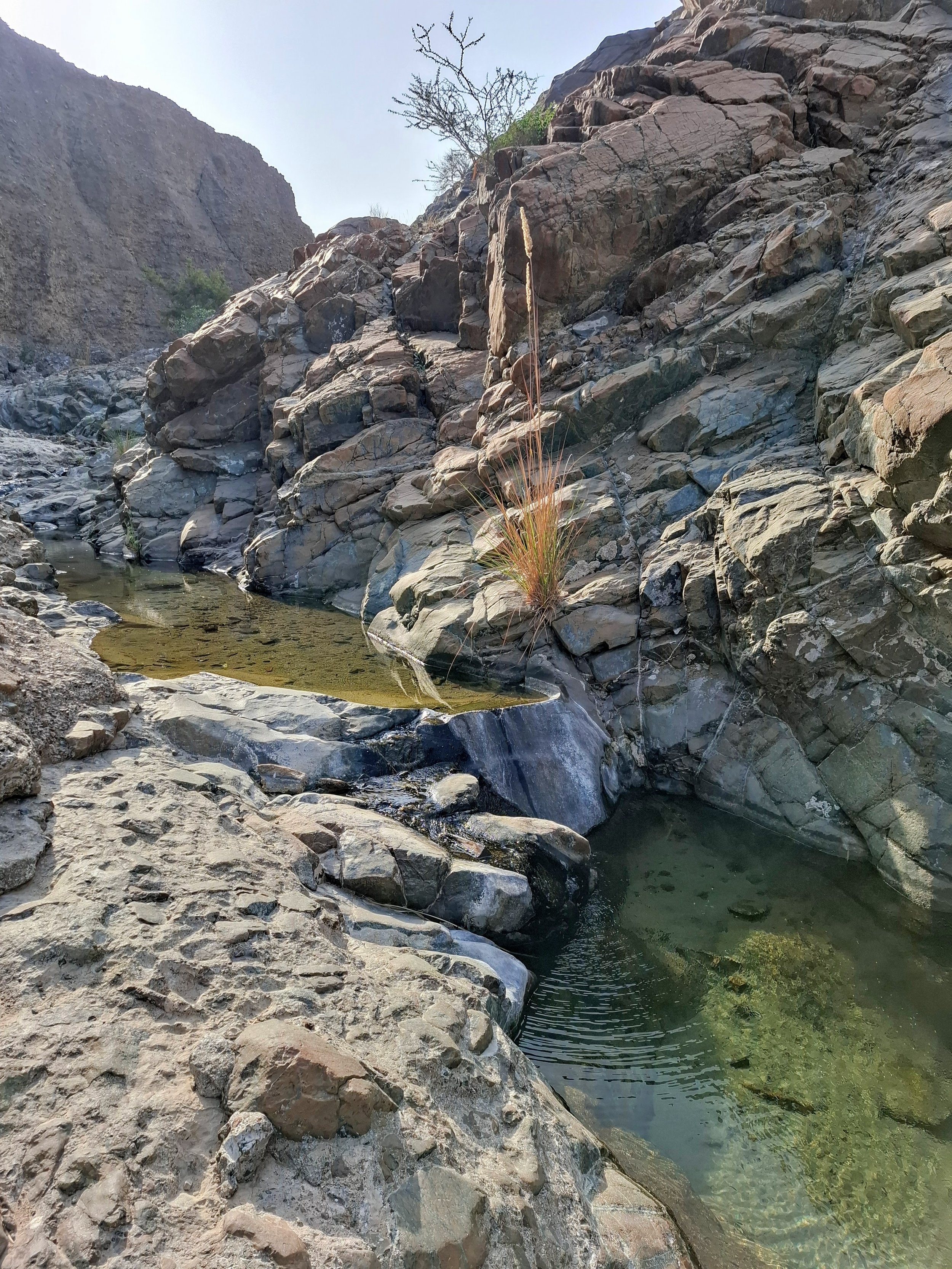 20260228_084127.jpg (Copy)