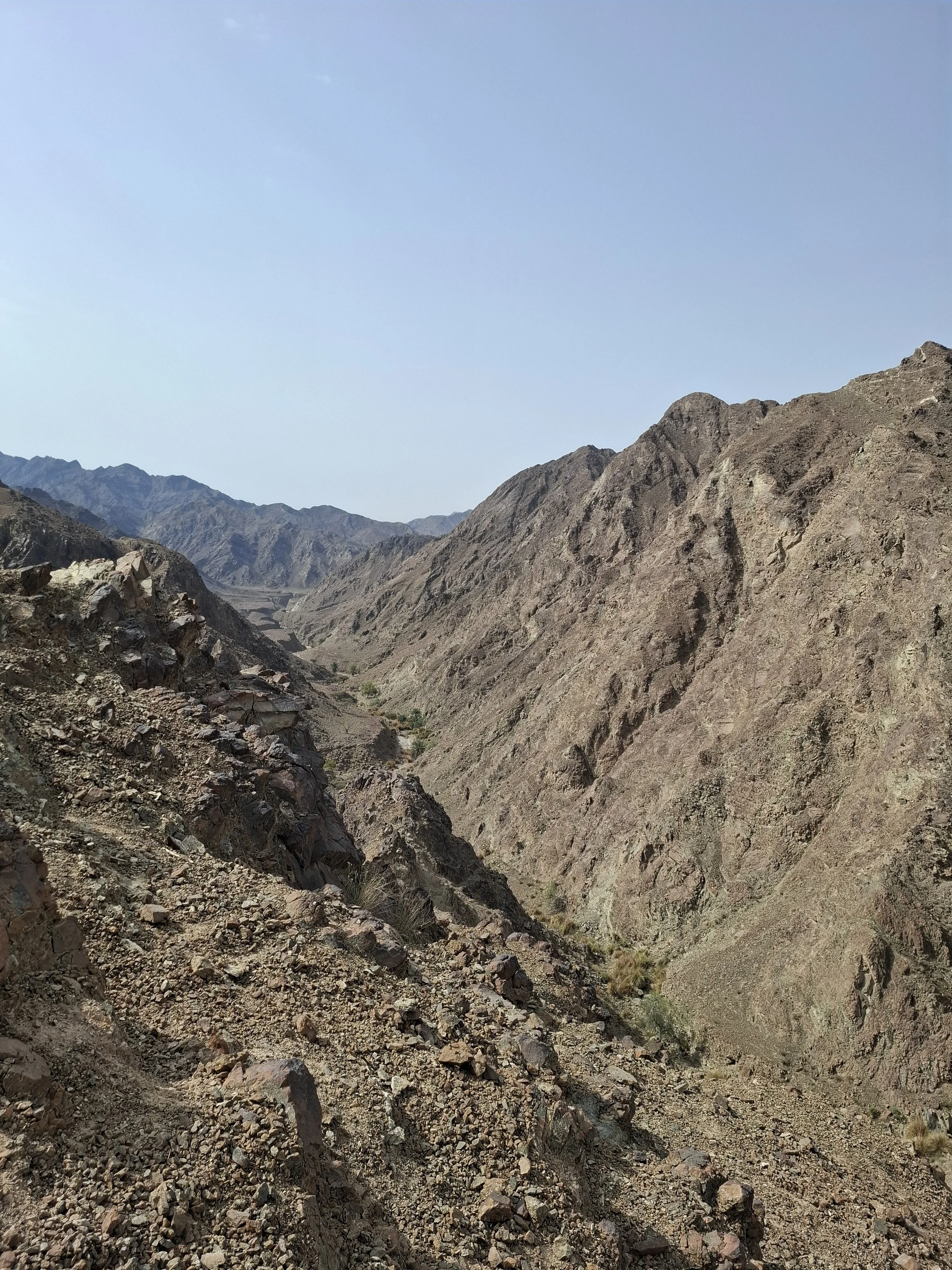 20260228_102316.jpg (Copy)