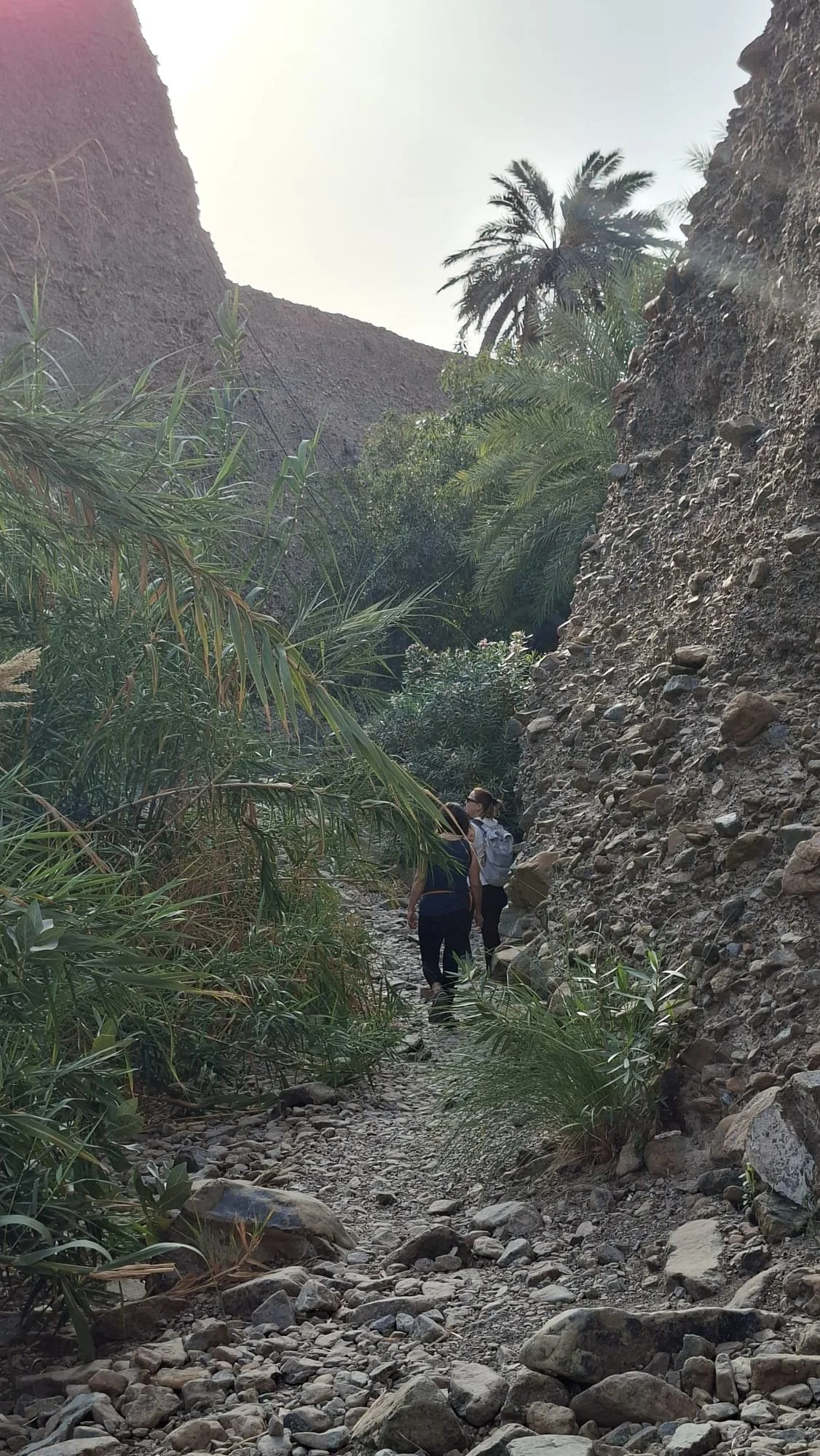 IMG-20260411-WA0011.jpg (Copy)