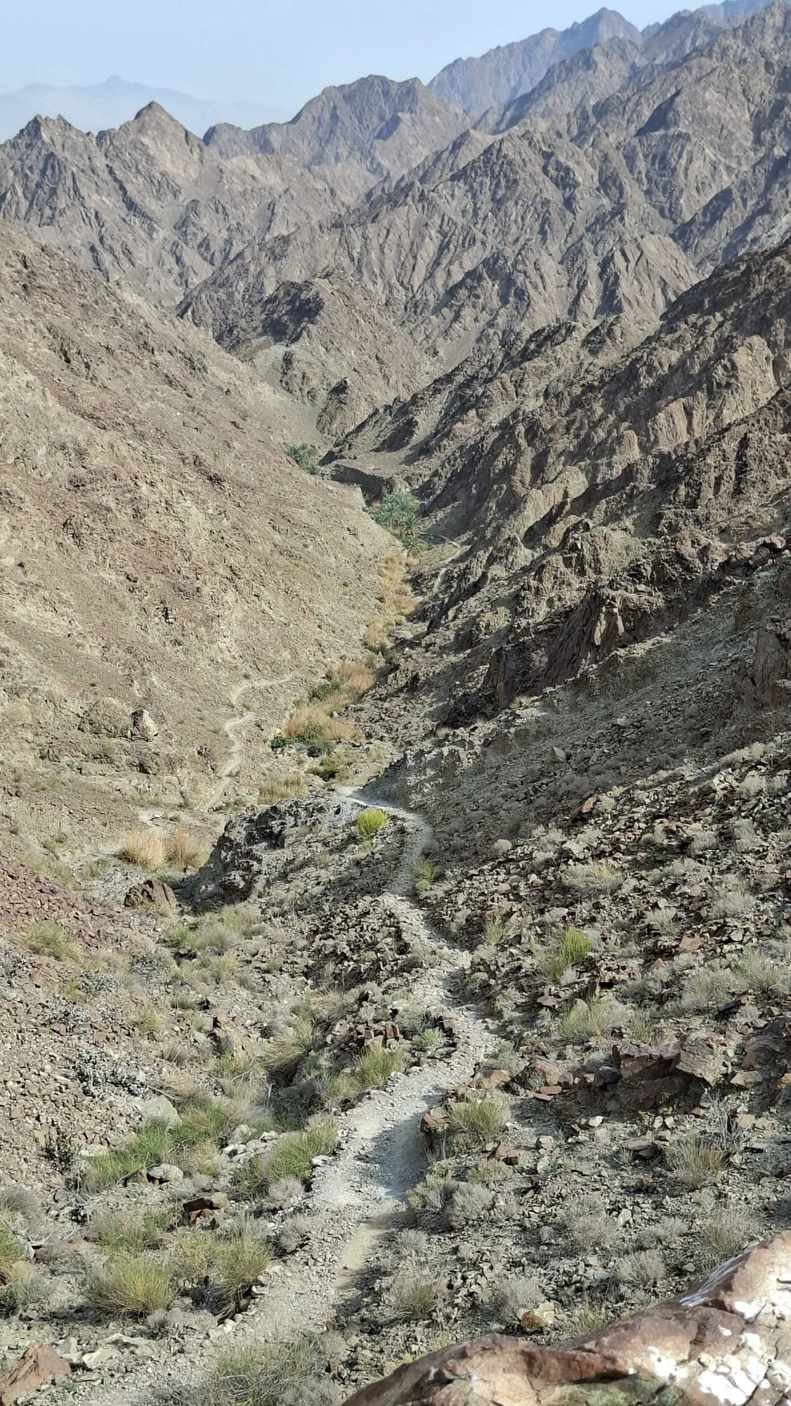 IMG-20260411-WA0006.jpg (Copy)