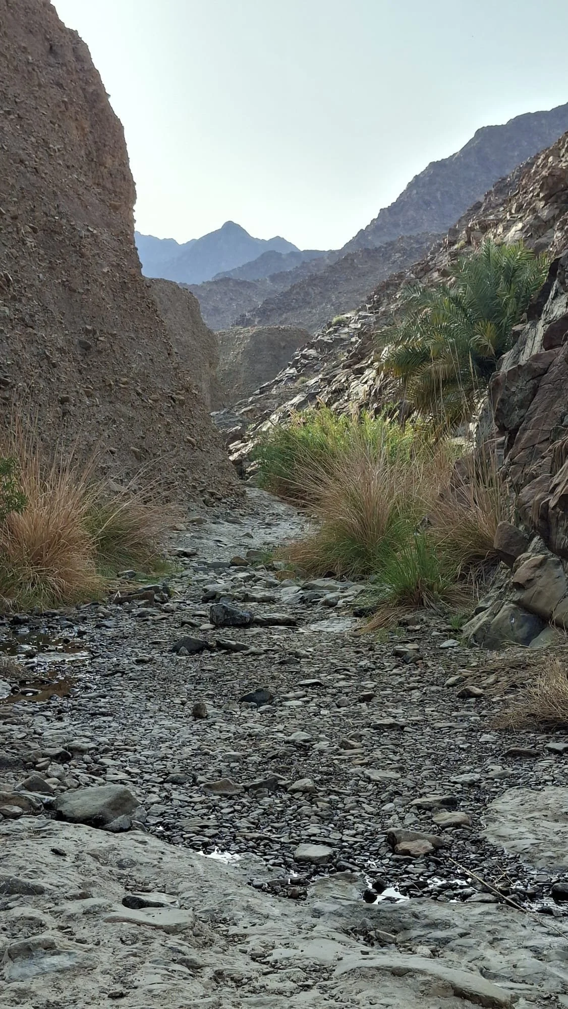 IMG-20260411-WA0010.jpg (Copy)