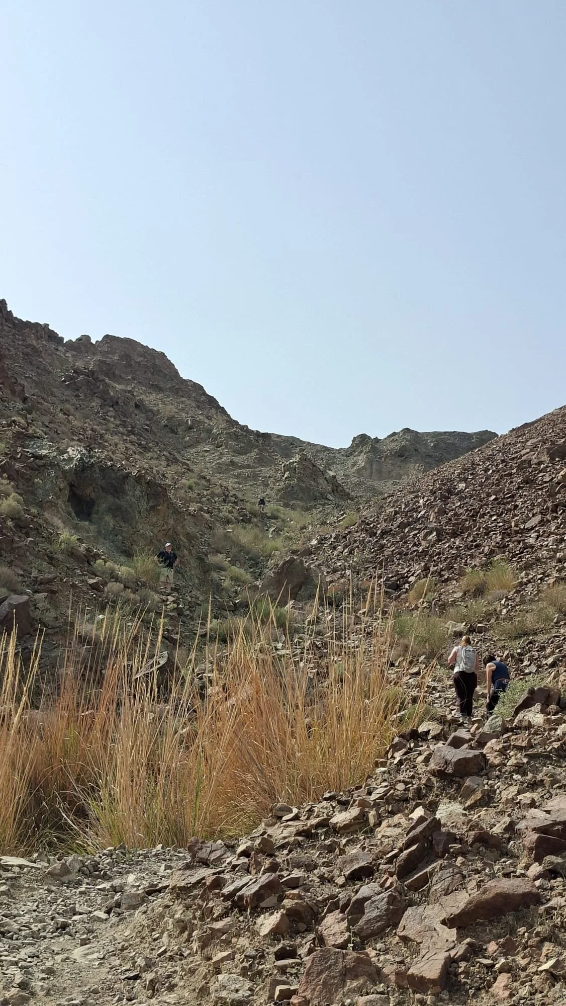 IMG-20260411-WA0007.jpg (Copy)