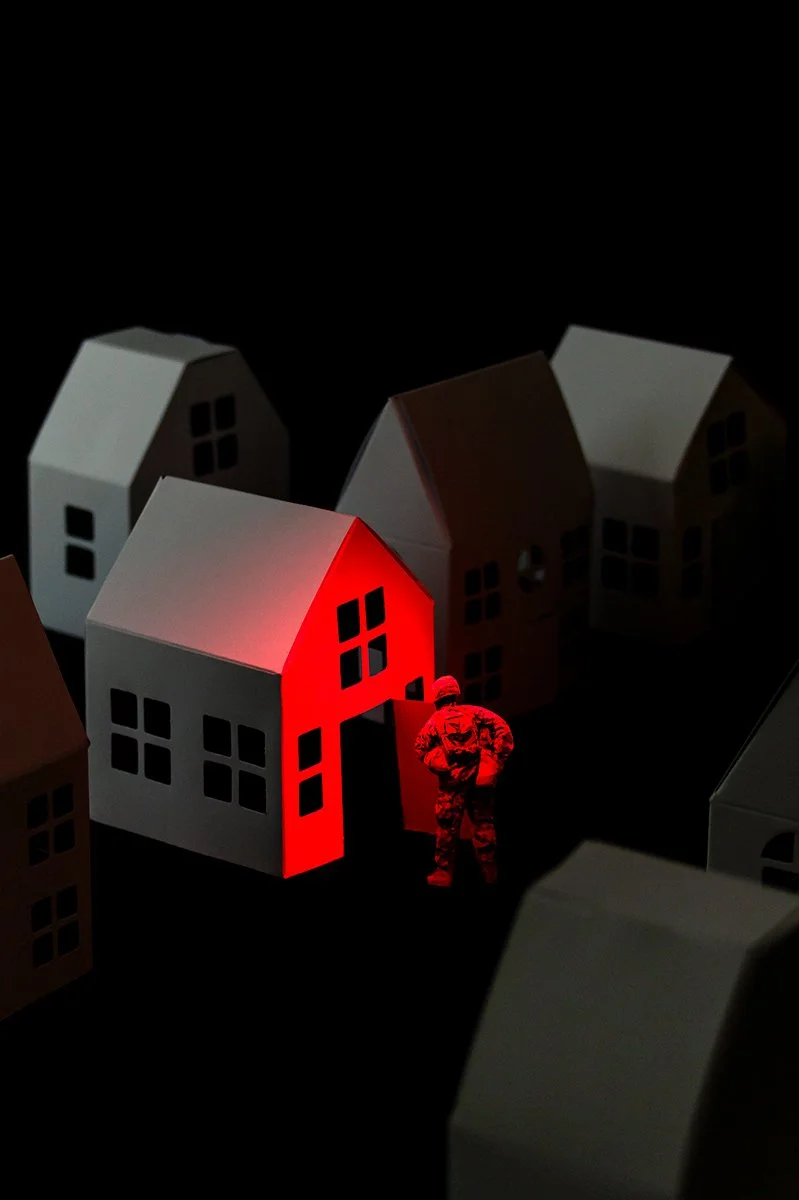 houseclearingV-002 (2).jpg