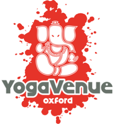 yogavenue_mediumthumb.png