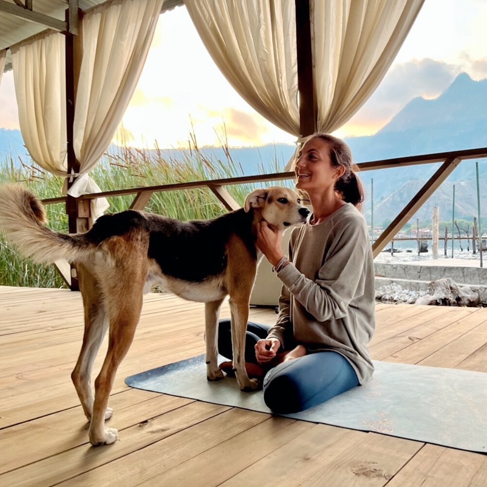 Teaching yoga, travelling &amp; helping animals. 
Sums up my purpose and passions in life! 

Combining them all on my retreat in Borneo this March for @bos_uk . Raising funds to rescue, rehabilitate &amp; reintroduce orangutans into the wild.

Just 1