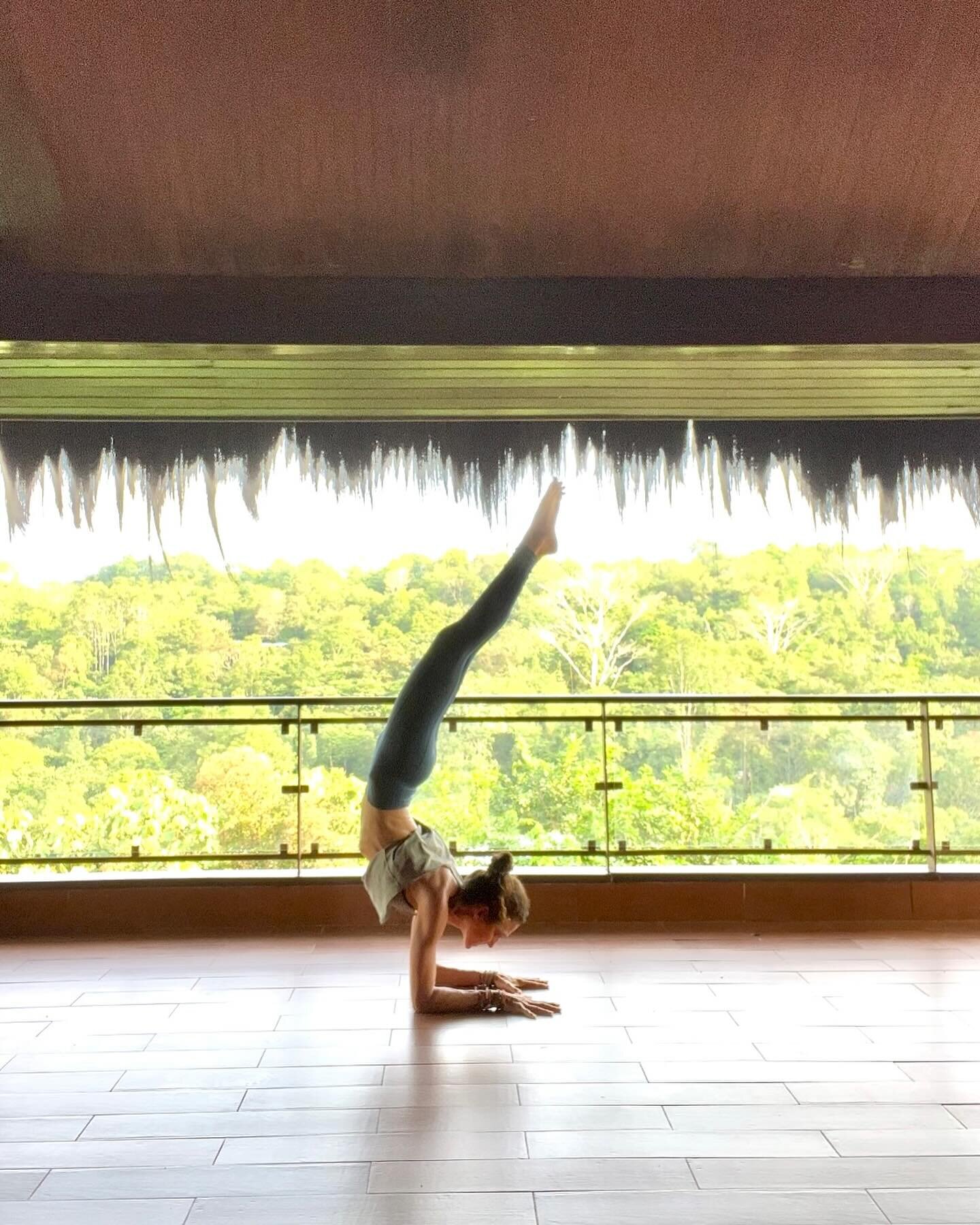 Beyond thankful @bos_uk for having me &amp; everyone that joined me on this incredible experience of a lifetime practicing yoga on &amp; off the mat. 

Fully charged &amp; inspired for our Colombia Retreat next month!

#borneo #animalsanctuary #rescu