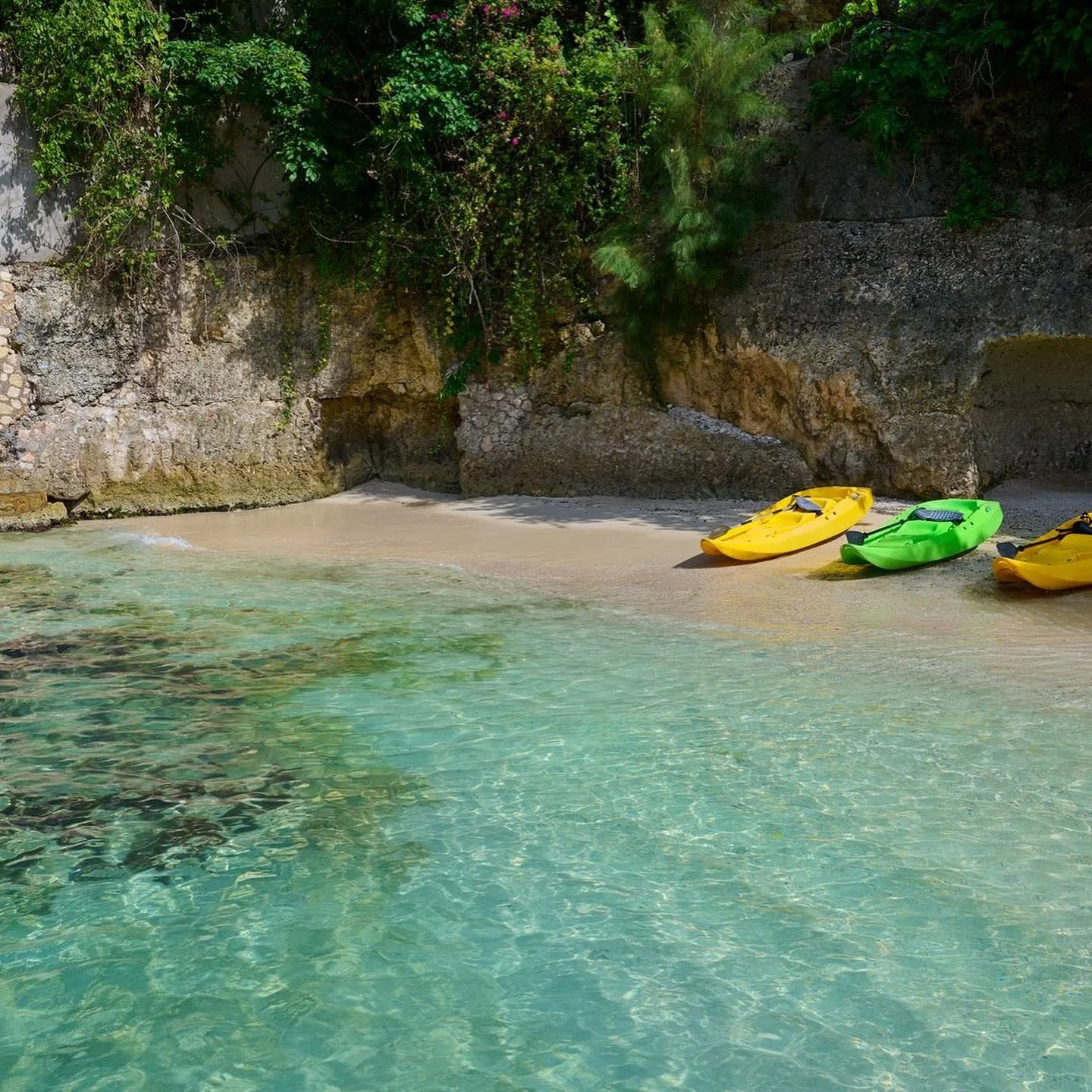 Jamaica Yoga Escape | 22-28 March 2026

Experience Jamaica off the beaten path. This retreat aims to deliver the soul of the island, enabling you to slow down and celebrate life.

🌴 Join us in our own private villa by the sea, with our own private c