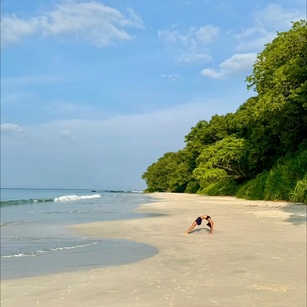Autumnal equinox &bull; when the hours of daylight &amp; darkness fall into perfect symmetry, offering a moment of cosmic equilibrium.

Reminding us to keep balance in our lives.

For those that plan ahead, few spaces left on our Jamaica retreat next